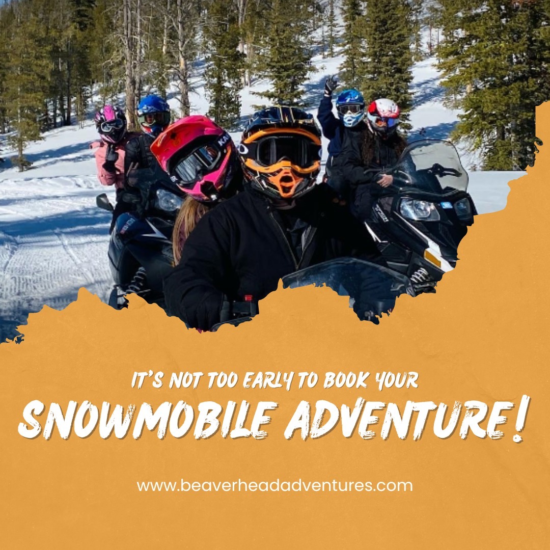 While Summer is at it's peak, don't forget that snowmobile season is right around the corner! It's not too early to book your snowmobile for your winter adventure. In fact, we encourage you to book early! Trust Beaverhead Adventures to maximize your trip as the preferred rental provider in Dillon, MT! 🤠 ❄️
