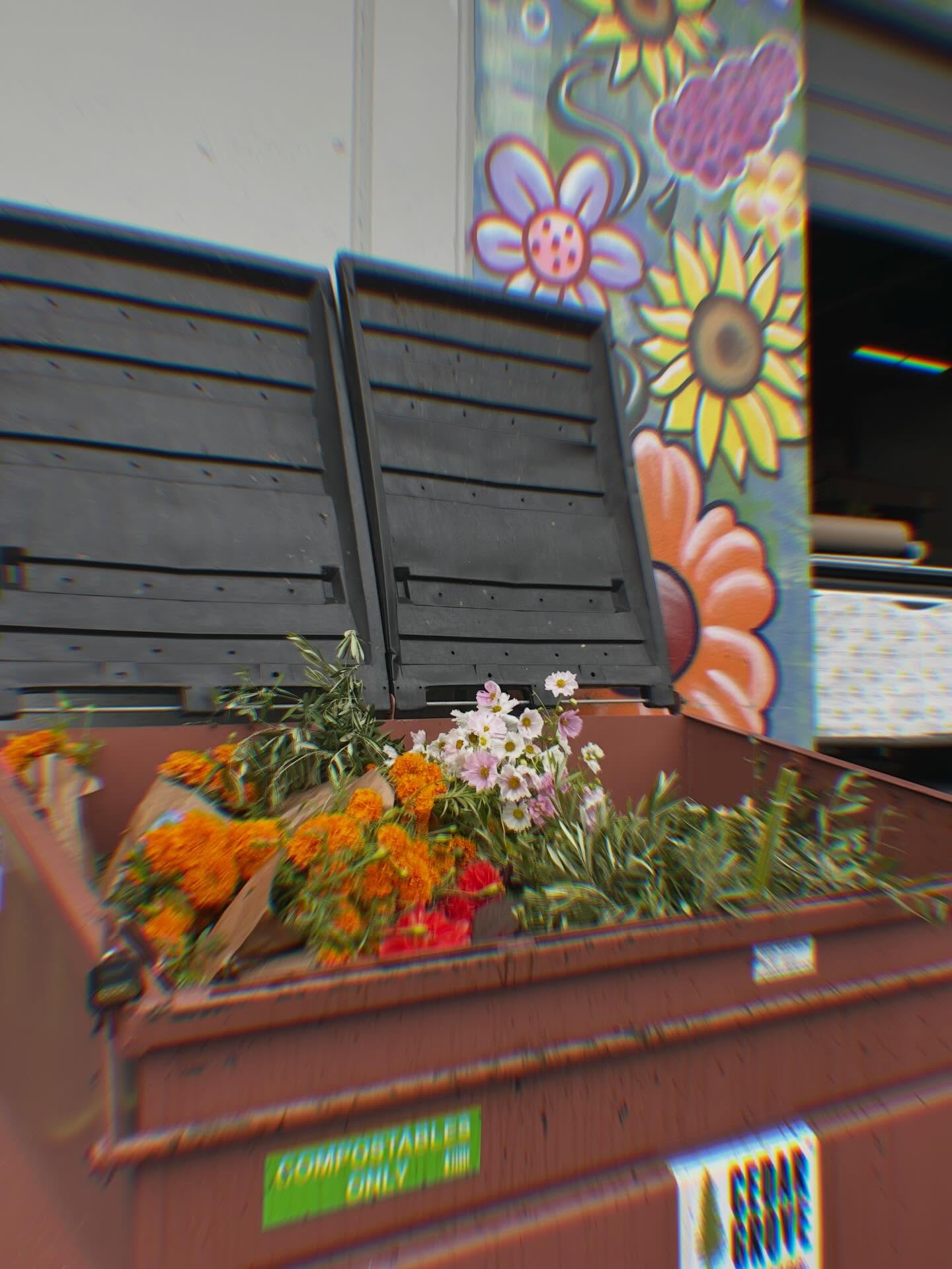 trying to stay cute despite it all. #dumpsterfire