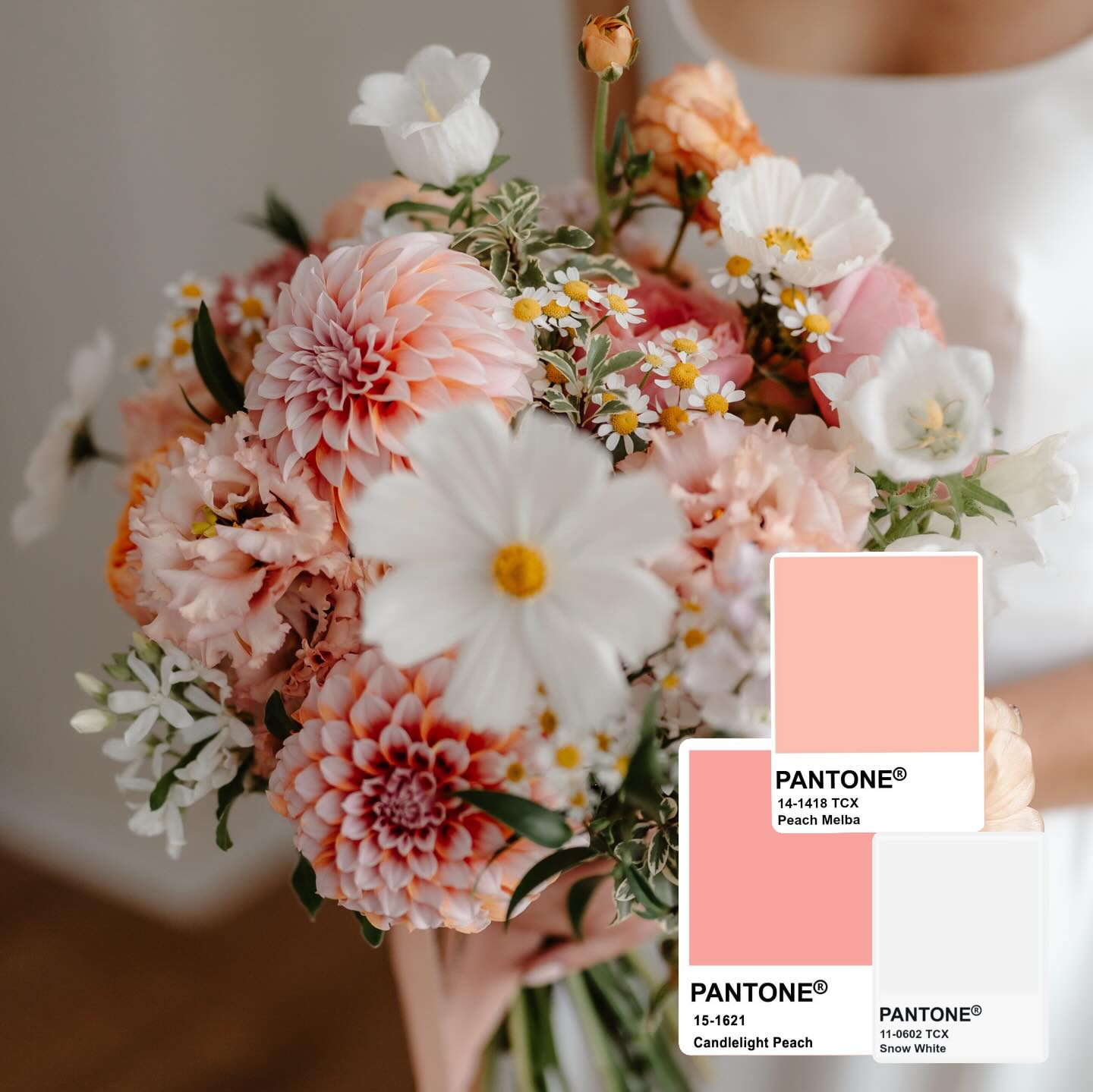 What’s your Pantone colour of choice?
Comment below which one you would choose 🫶🏻
Images captured by
@lucydarbyphotography
@aniaamesphotography
@sarah_newman_photography
@binkynixon
@mtstudio_weddings
@frasermcgeeweddings
•
•
•
•
•
#pantone #weddingflowers #weddingbouquet #bridalbouquet #weddingflorist