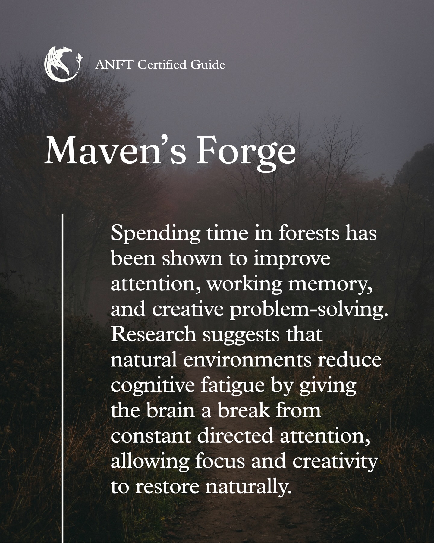 When the brain is no longer fighting overstimulation,
focus returns. Creativity follows. Nature knows the way.
#natureandforesttherapyguide