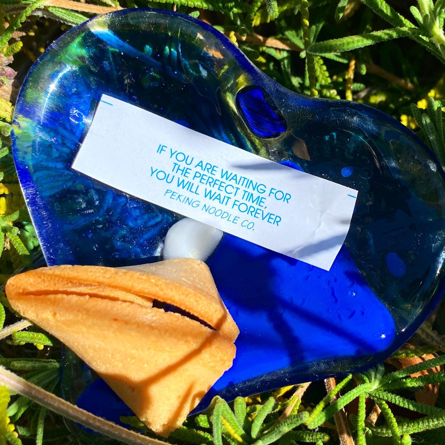 #fortunecookie day…who knew?
What is the best fortune you’ve received from a cookie?🥠