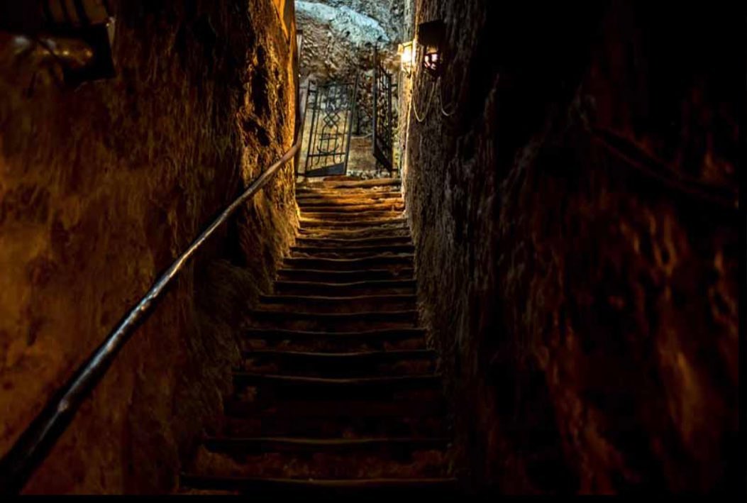 Our Winery🥂
#restaurant#winery#tivoliitaly