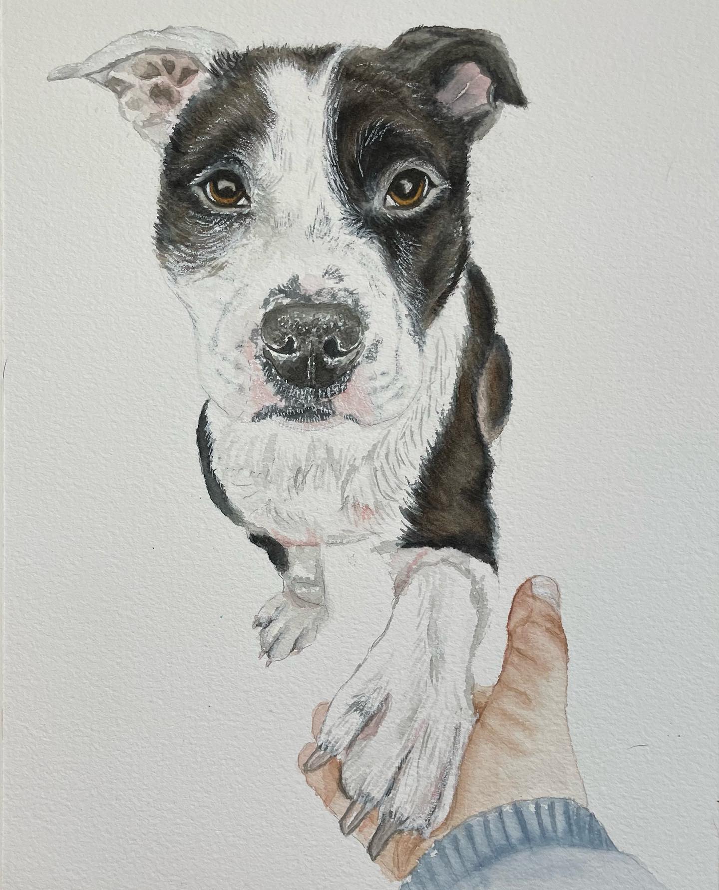 Let me tell you about my best friend ❤️
#watercolor #watercolorpainting #petportrait #bestfriend #watercolorpetportrait #dogsofinstagram