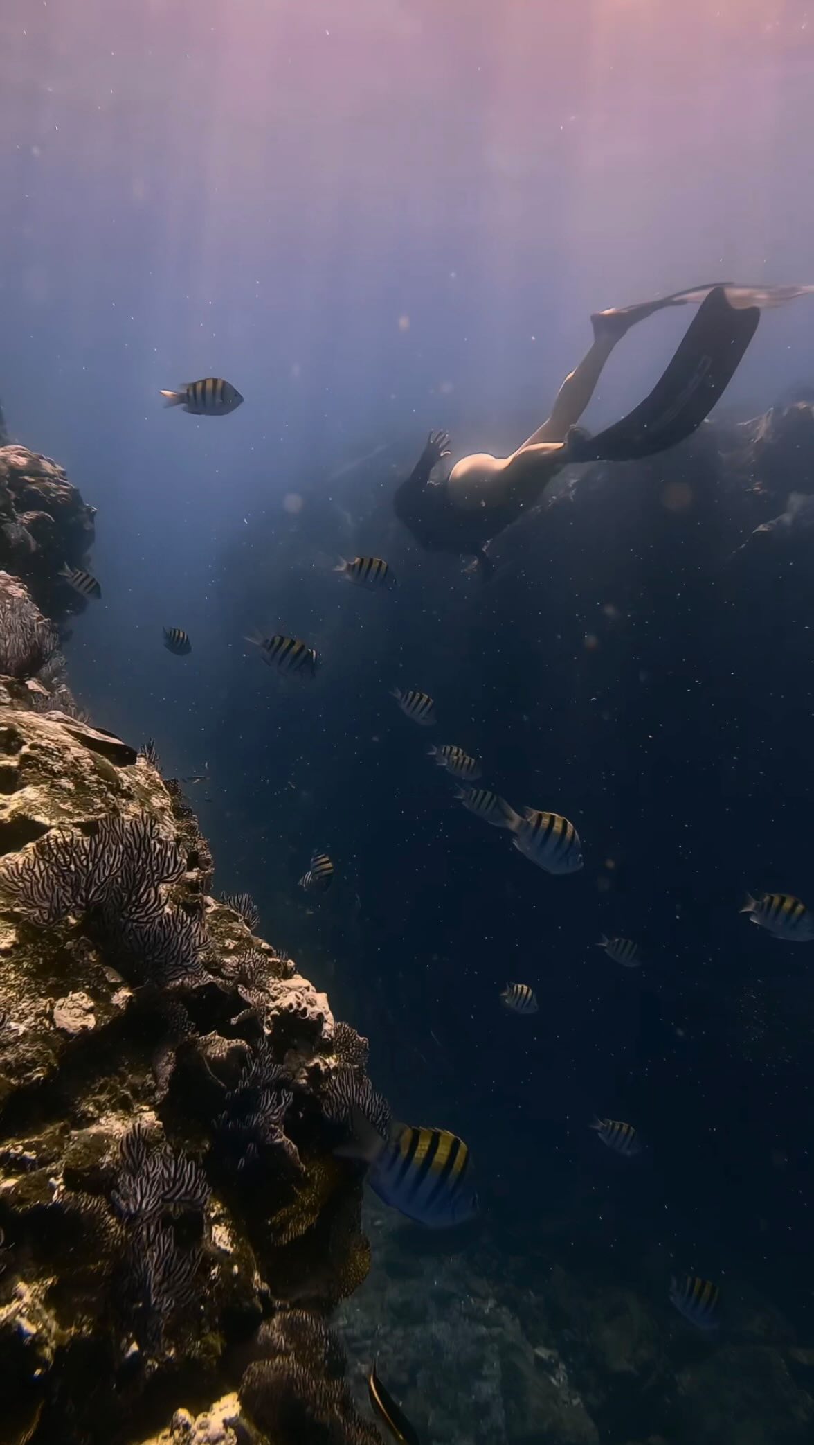 Our beautiful earth is worth protecting 🩵🌎
🌊 The ocean is worth protecting
🌿 Nature is worth protecting
🐋 Wildlife is worth protecting
Gaia, our sacred Mother Earth, and Momma Ocean are not endless resources we can take and take and take from
They provide us with the air we breathe, the water that sustains us, and the sun that fuels our existence
Without them, there is no us
We are not separate from nature. We ARE nature 🌱
It is our greatest teacher, healer, and sustainer
Yet, we find ourselves in a time where decisions about our future are often made behind closed doors by those who prioritize profits over preservation, and convenience over consciousness 🏗️
Lately, my heart has felt incredibly heavy as I witness the devastating effects of climate change, pollution, and exploitation 💔
The news can be disheartening, and I often wonder: What will become of our home planet if we continue to vote these people into office? If we stand by while they drill, take, destroy, and burn everything around us?
But despite the heaviness, I hold onto ✨hope✨
Earth is everything to us!
It is our past, our present, and the future we leave for generations yet to come. She is our LEGACY!
I feel so grateful for the people who taught me to love and respect nature from such a young age
And now, my greatest hope is to inspire others to see how incredible nature is and to do their part to protect it!
The time to act is NOW
Let’s love and protect our Mother Earth - because she deserves it, and so do we 💙🌊🌿
#natureconservation #saveourearth #conservation #wildlifeconservation #protecttheplanet