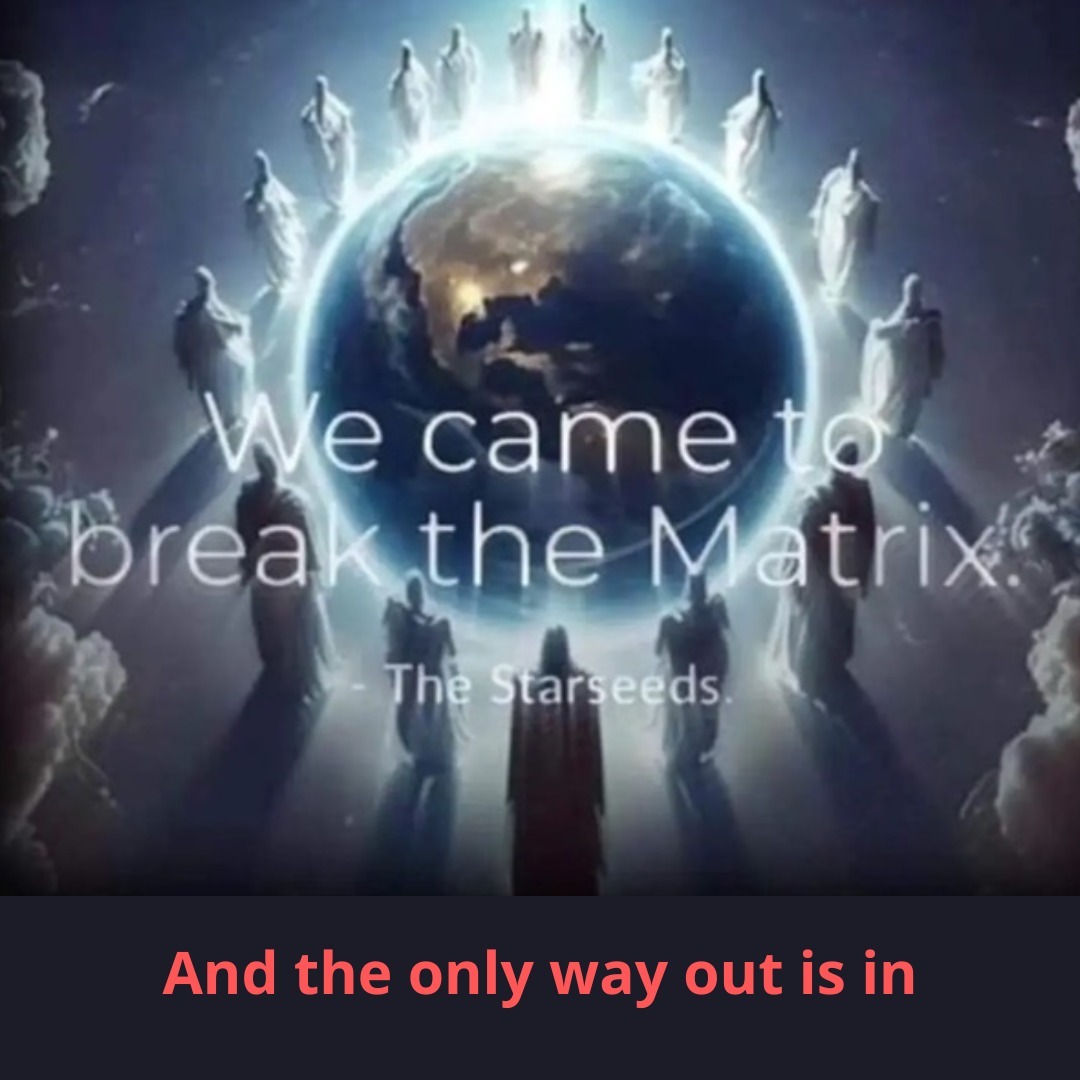 Elk individuele heling draagt bij aan het collectief. In mijn beleving zijn we hier in deze tijd om te helen en ons te bevrijden uit de door ons zelf gecreëerde gevangenis, noem het de matrix. Elke ziel met een eigen taak en op zijn/haar eigen tijd.
Losbreken uit de ‘matrix’ is niets anders dan loskomen van alle toxische/ongezonde connecties en patronen in je eigen leven. Ik denk dat we vaak niet eens doorhebben in wat voor dynamieken we vastzitten met anderen. Omdat we niet anders gewend zijn dan dat dit ons hele leven al de norm is geweest. En we willen het ook niet inzien, want losbreken geeft ANGST. Niet alleen je eigen angst, maar het incasseren van geprojecteerde angst moet ook niet onderschat worden.
Het wordt je in de eerste instantie namelijk niet in dank afgenomen. Je ervaart tegenwerking. Als ze doorhebben dat je je los aan het maken bent dan proberen ze je te controleren/manipuleren. Als dat niet lukt gaan ze controle uitoefenen op wat anderen van je denken, leugens worden niet geschroomd.
In de huidige collectieve ontwaking komen steeds meer klokkenluiders/zwarte schapen tevoorschijn. Dit zijn zoals ik het zie oude/ontwikkelde zielen, als mens erg gevoelig en empathisch. Niet voor niets zijn deze zielen in disfunctionele families geïncarneerd en trekken zij narcistische persoonlijkheden aan. Zij mogen beweging in zo’n (familie)systeem brengen.
Uiteindelijk geeft dit zoveel heling en bevrijding. Niet alleen voor jezelf, maar ook voor anderen binnen het systeem. Op aards niveau vinden die anderen je vervelend en een bedreiging. Maar op zielsniveau zijn ze heel dankbaar 😉 We komen immers allemaal uit dezelfde bron en we verlangen allemaal naar het goddelijke/liefde.
De kerk, de spirituele wereld en de politiek zijn plekken waar #narcisme hoogtij viert. Zolang je hier nog in vastzit zijn dit blinde vlekken. Als je het eenmaal doorhebt, dan herken je het vrij snel (of in mijn geval: je buik voelt dat). En dan wordt het vanzelfsprekend om dit soort systemen te doen laten omvallen. Niet door ertegen te vechten, maar door te helen en je waarheid te leven.
Liefde en waarheid zijn de grootste vernietigende krachten!
#starseed #divinefeminine