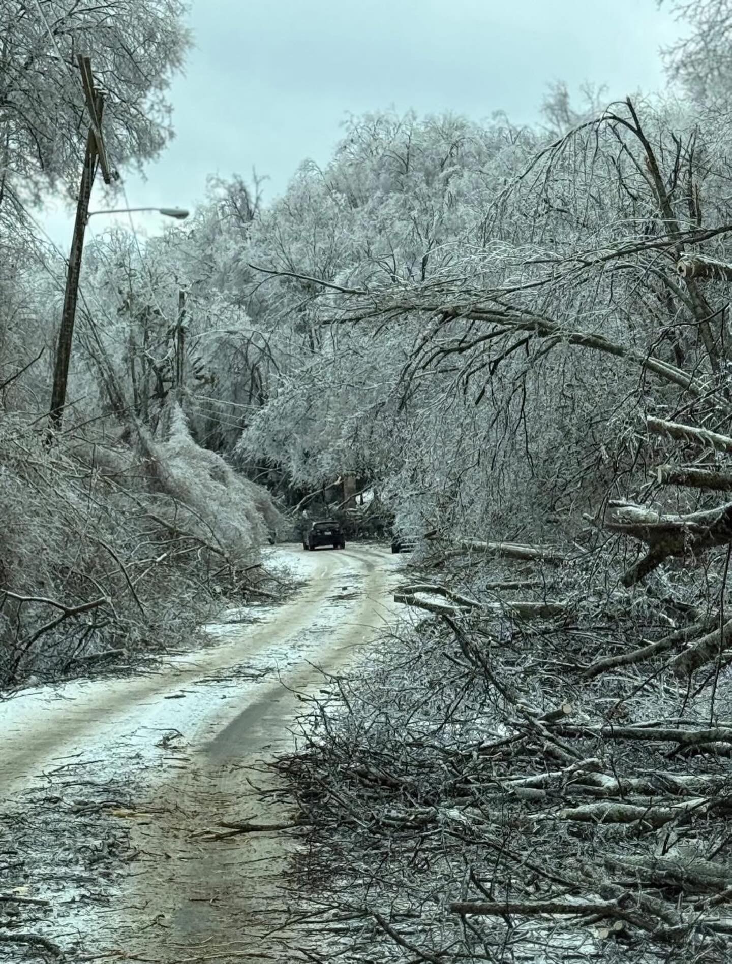 Nashville Ice Storm Real estate + real life lately 🏡❄️
A quick market update on my end:
• One closing delayed
• One offer accepted
• Two new construction timelines delayed
• One offer being submitted today
• One appraisal delayed
And on the home front… Day 4 without power. It’s about 40 degrees inside our house, and our street honestly looks like a war zone. The number of massive, mature old-growth trees that fell, split, or literally exploded is hard to put into words — they’re everywhere: across roads, power lines, and even homes.
Our councilman has shared that power could be restored in 3–5 days, but realistically many of us may be facing another 1-2 weeks without it. Please keep everyone impacted in your prayers as so many are trying to find safe, warm places to stay.
We are incredibly blessed to be at my parents’ house — a little cramped, but filled with heat, internet, food, and warm showers. So grateful 🙏
Huge thanks to our mayor for his leadership and to the line workers and water crews working around the clock (yes, some areas are also without water due to main breaks).
If you need recommendations for tree removal, electricians, or HVAC services, please don’t hesitate to reach out — I’m happy to share contact info for trusted providers.
Our city is hurting, but Nashville is special. We take care of each other. 🩷
📸 Granny White Pike near Tyne Blvd.
#nashville #nashvillerealestate #nashvillehomes #nashvillehomesforsale