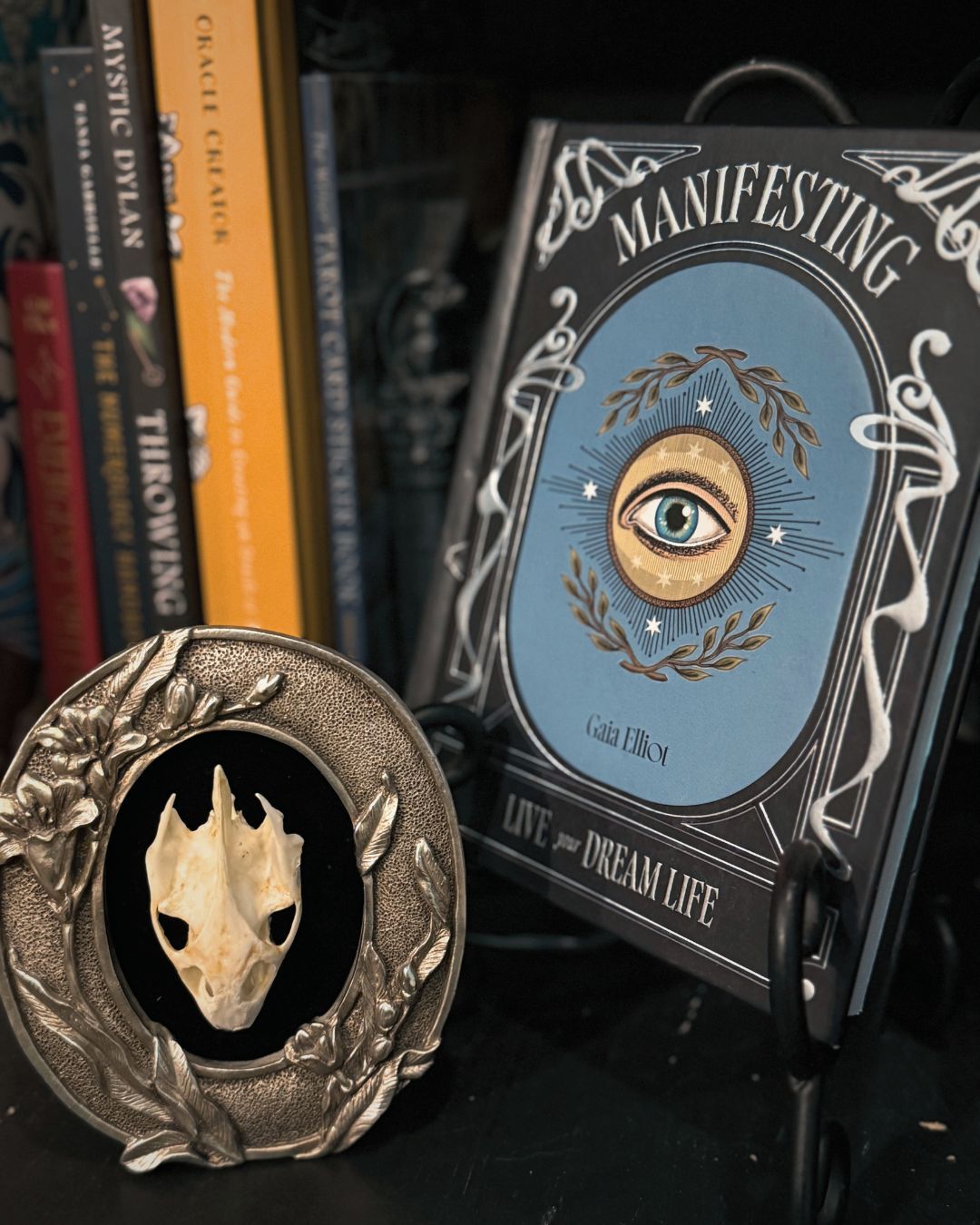 What have you manifested lately?
#manifestation #dream #books #vultureculture #witchy