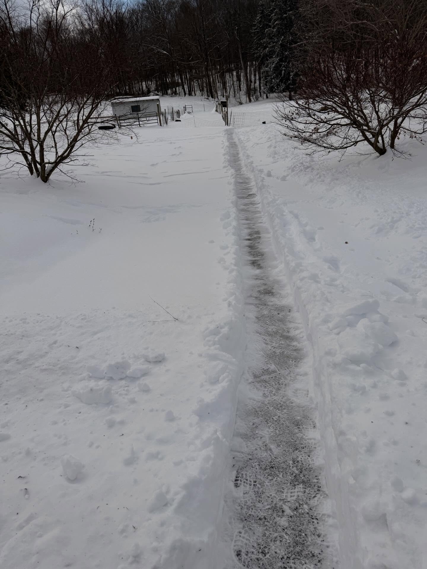 The shovel out begins. Have a path to soap shop, to the chickens, goats and down the driveway for the girls to get to the bus if they go tomorrow.
Show us all your snow #pasnowdays #snowlovers #diggingout2026