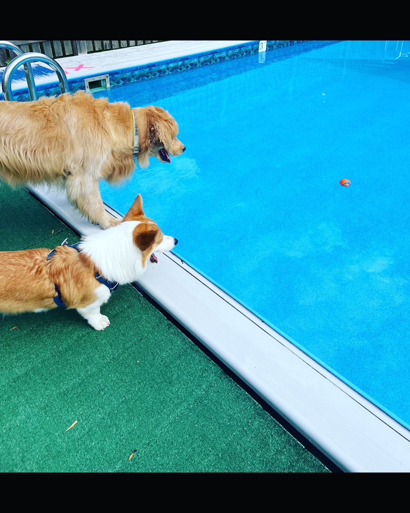 Today is the day! Thanks for your patience. We are now accepting reservations for the 2023 season! We will be opening May 19th. See you soon! #lincolnvillemotel #maine #summer2023