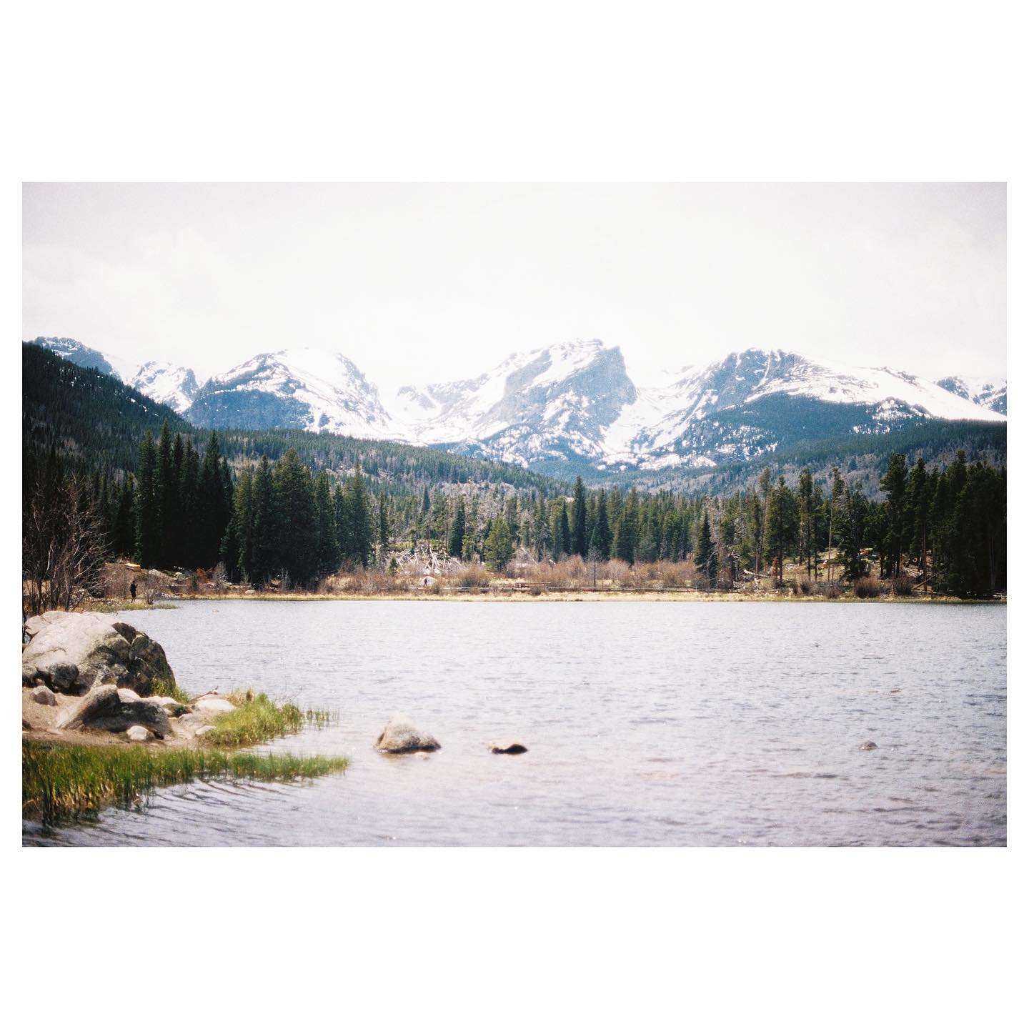 @ sprague lake
📷: canon ae-1 / kodak portra 400
#ae1 #35mm #canon #canonae1 #portra400 #kodak #kodakportra400