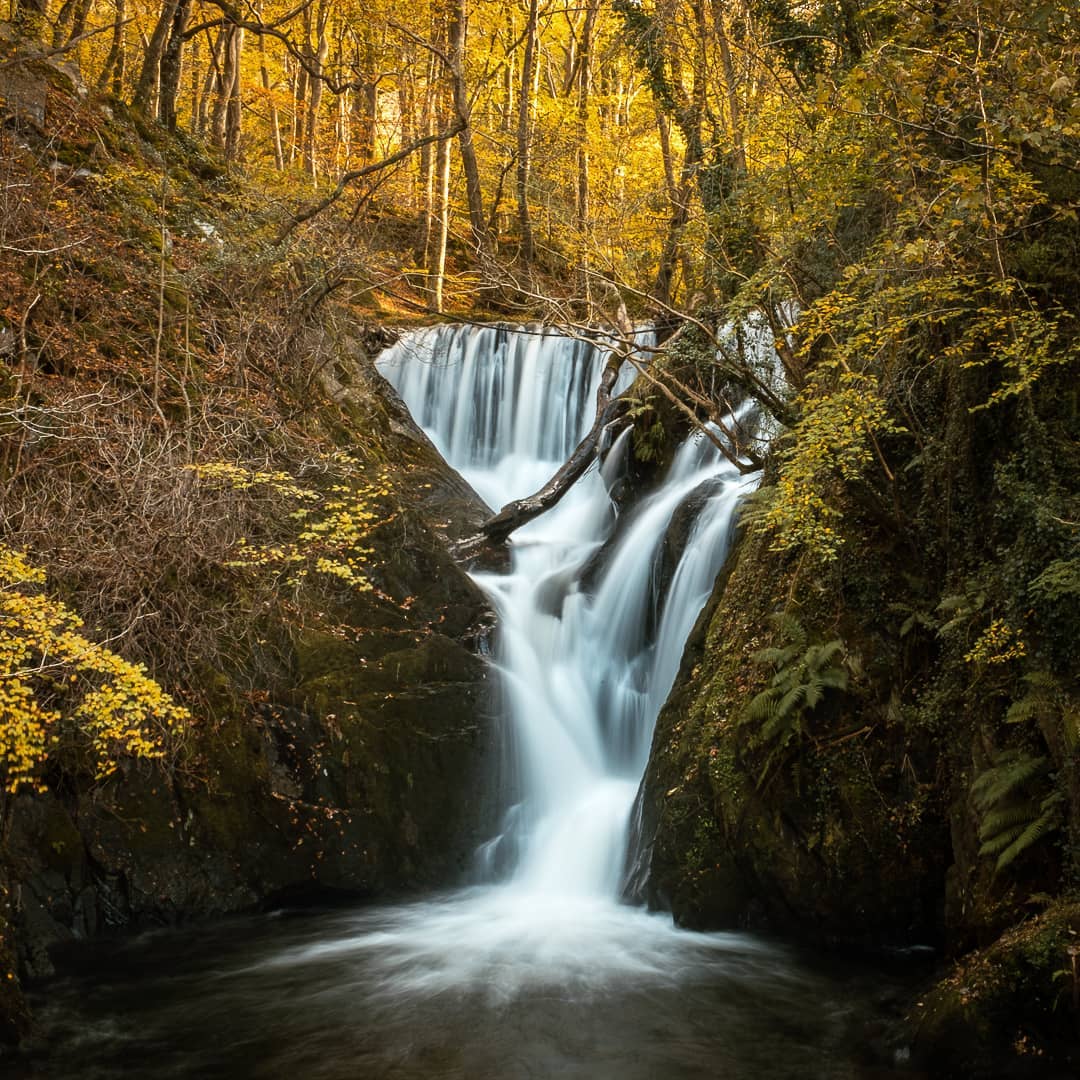 Autumn III
.
.
.
.
.
#fujixseries #fujixt4 #fujifilm #xf1655mm #fujifilmde #fujifilmfeaturetime #wasser #baum #tree #natur #nature #wasserfall #waterfall #fineart #fineartphotography #fineart_landscape #reportage #finearts #fineartphotographer #palaceoffinearts #fineartist #fineartphoto #nature #color #autumn #fujifilm_global #wales