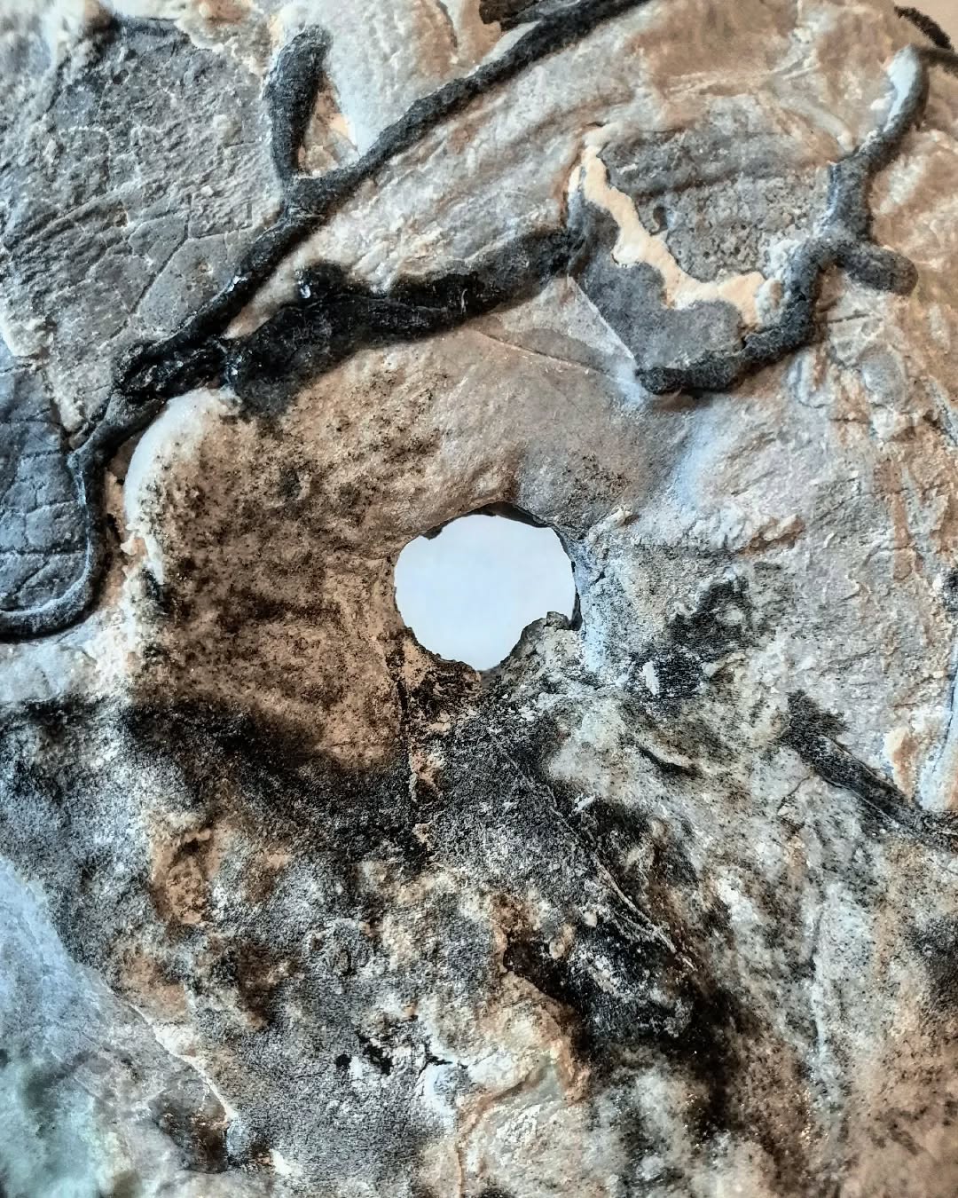 New glass in progress....
#fusedglass #kilnformedglass #vessel #vesselform #bullseyeglass #artglass #archaeology #newhistory #myth #texture #scottishglass