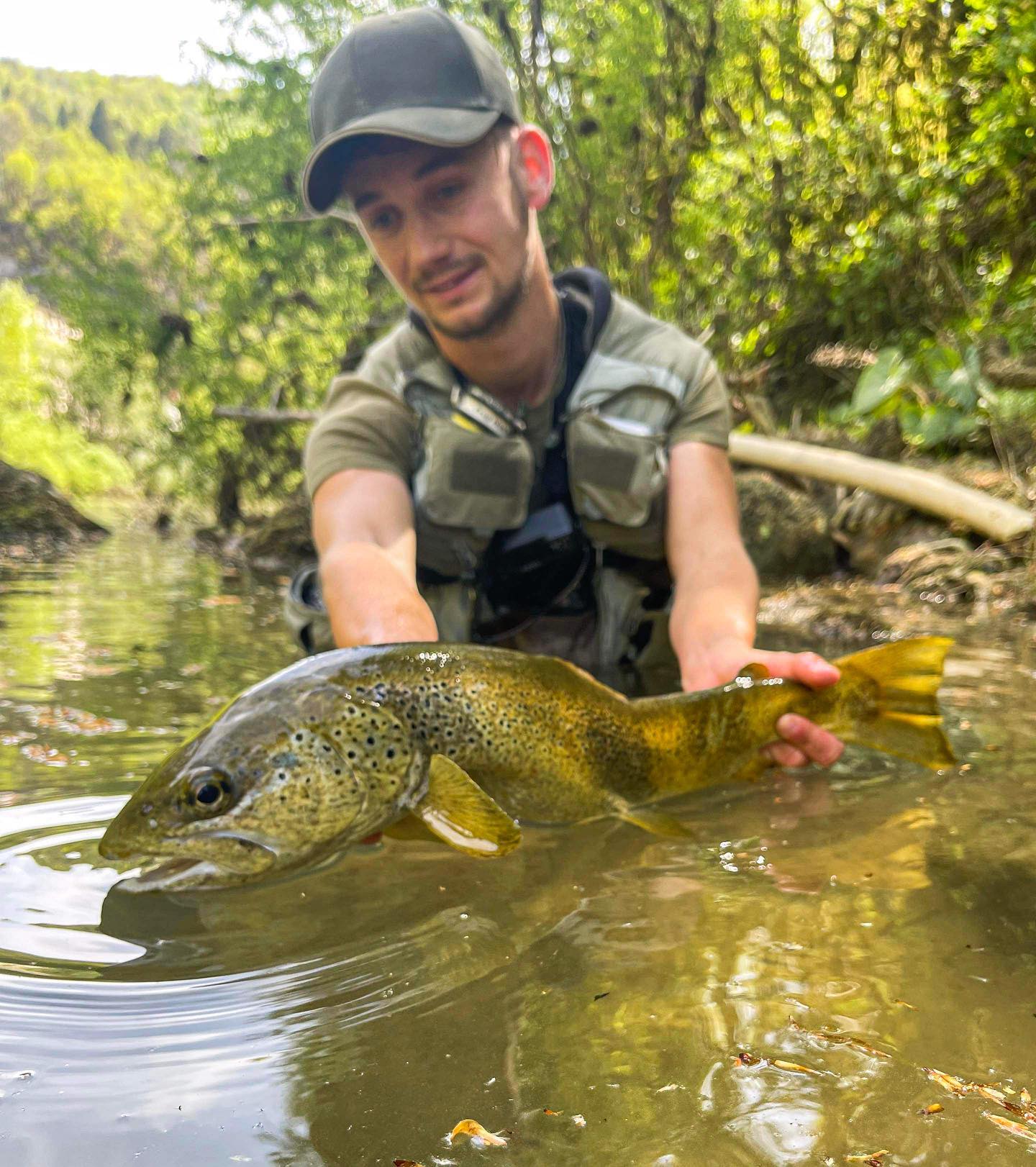 Une magnifique truite du Jura prise avec une Obscure légère au mois de mai. C’est l’une des meilleures nymphes pour moi sur les truites éduquées. Un ferrage appuyé et une canne R8 core surpuissante, le combat a duré quelques secondes en 15 centièmes. Merci Romain pour la photo 📸🤩
➡️Canne R8 core SAGE
➡️Moulinet Spectrum LT Sage
➡️Mouche : obscure légère 10 tours de plomb
https://www.halieutique-gdn.com
@orionflyfishing @ardent_peche
#moucheshalieutique #trout #truite #truitefario #truitesauvage #troutfishing #troutflies #troutfly #nature #jura #pechetruite #pechealamouche #sageflyfish #flyfishingaddict #flyfishing #flyfishinglife #nymphfishing #fish #fishing #pêche #pechetruite