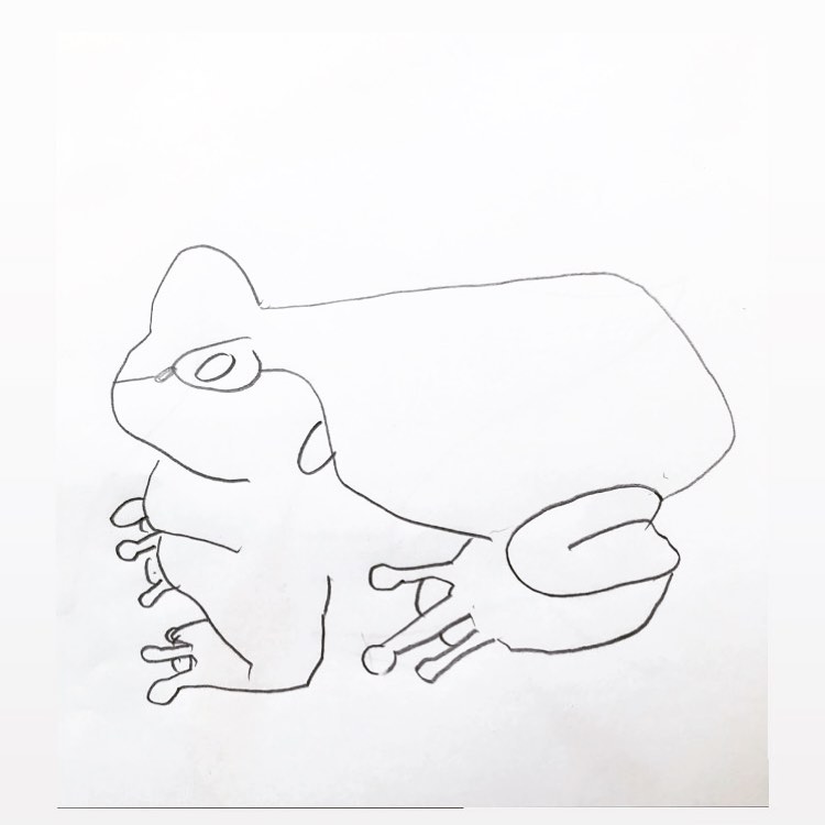 Exercice avec enfants de 6 à 8 ans. 30 secondes pour représenter un animal.