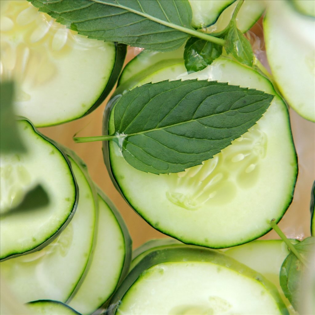 Booking link in bio! 🥒🥒🥒New late summer facial just dropped! Have you gotten a little too much sun this summer? This facial is the perfect remedy! The Cool as a Cucumber facial starts with a refreshing cucumber beverage and includes a cooling green tea-based mask, cucumber eye treatment, anti-inflammatory jelly mask, and more! What more could it contain you ask? How about 15 extra minutes of cooling scalp and foot massage! Book now and let me refresh your skin! 🥒🥒🥒