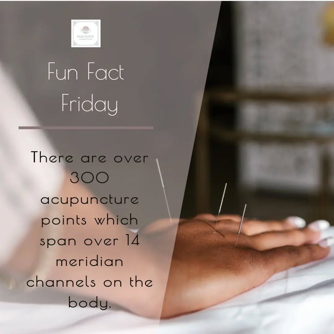 Did you know that there are over 300 acupuncture points on the body and that these points are allocated in 14 meridians channels on the body? 😲
Points span from your head to the bottom of your feet. Each point has its own special function and many of them work on both a physical and emotional level which affects the entire body.
#acupuncture #TCM #holistichealth #funfactfriday #finerpointsacupuncture #chinesemedicine #selfcare