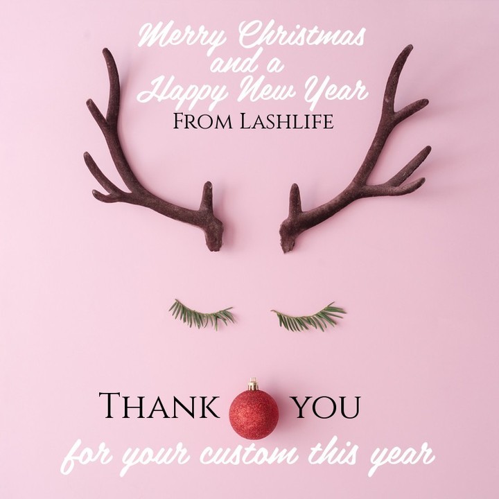 MERRY CHRISTMAS & A HAPPY NEW YEAR from Lashlife - Thank you to all my wonderful customers and friends, I've loved our chats this year and look forward to seeing you all next year x