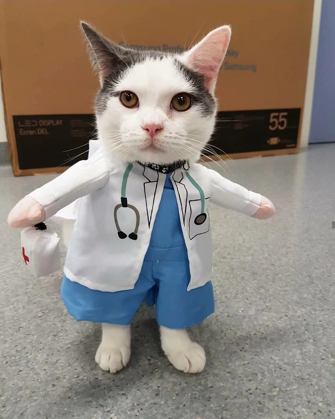 Exciting news! We are now authorised prescribers of Medicinal Cannabis and CBD Oil 🌿
If you would like to know more about how this can benefit your pet with chronic pain, anxiety and more, please refer to the following page on our website http://www.hillsdistrictvet.com.au/medicinal-cannabis-cbd-oil or book a consult via phone, email or through our online booking system to speak to one of our prescribing veterinarians.
*Please note that at this stage only Dr Jane and Dr Cassie are able to prescribe these drugs.