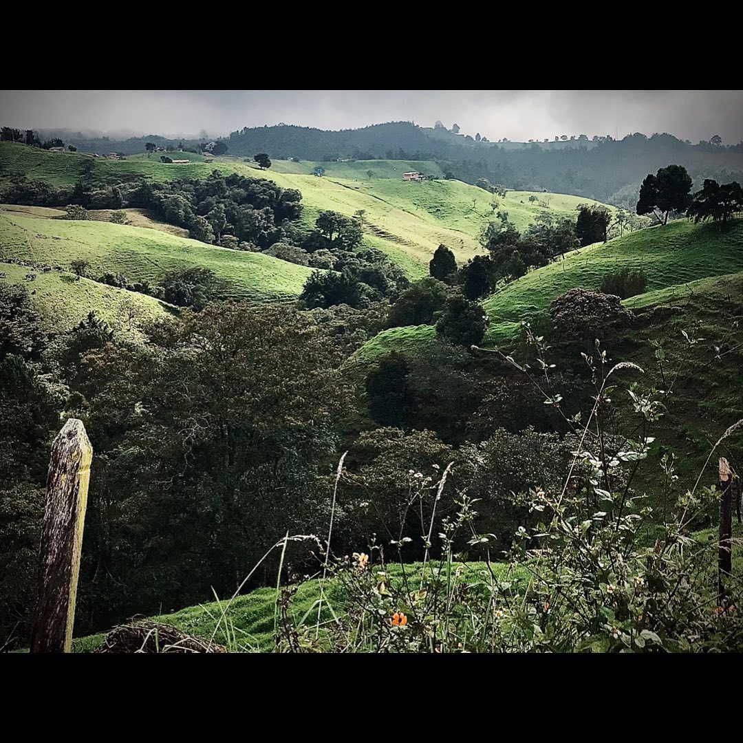 Green hills today ⛰🚴🏼♀️⛰
•
•
•
•
•
#cyclingculture #insearchofup #cyclingmemories #roadcyclingpics #ridelots #lifebehindbars #roadporn #whyiride #roadslikethese #cyclingporn #fromwhereiride #beautyofcycling #cyclingphotography #whereiride #outsideisfree #wymtm #switchbacks #instaroads #mountainpass #fromwhereweride #cyclingadventures #roadcyclist #cyclingshots #roadstotravel #mountainphotography #roadstoride #natgeotravels #cyclingtour #cyclingholidays #cyclingaddict