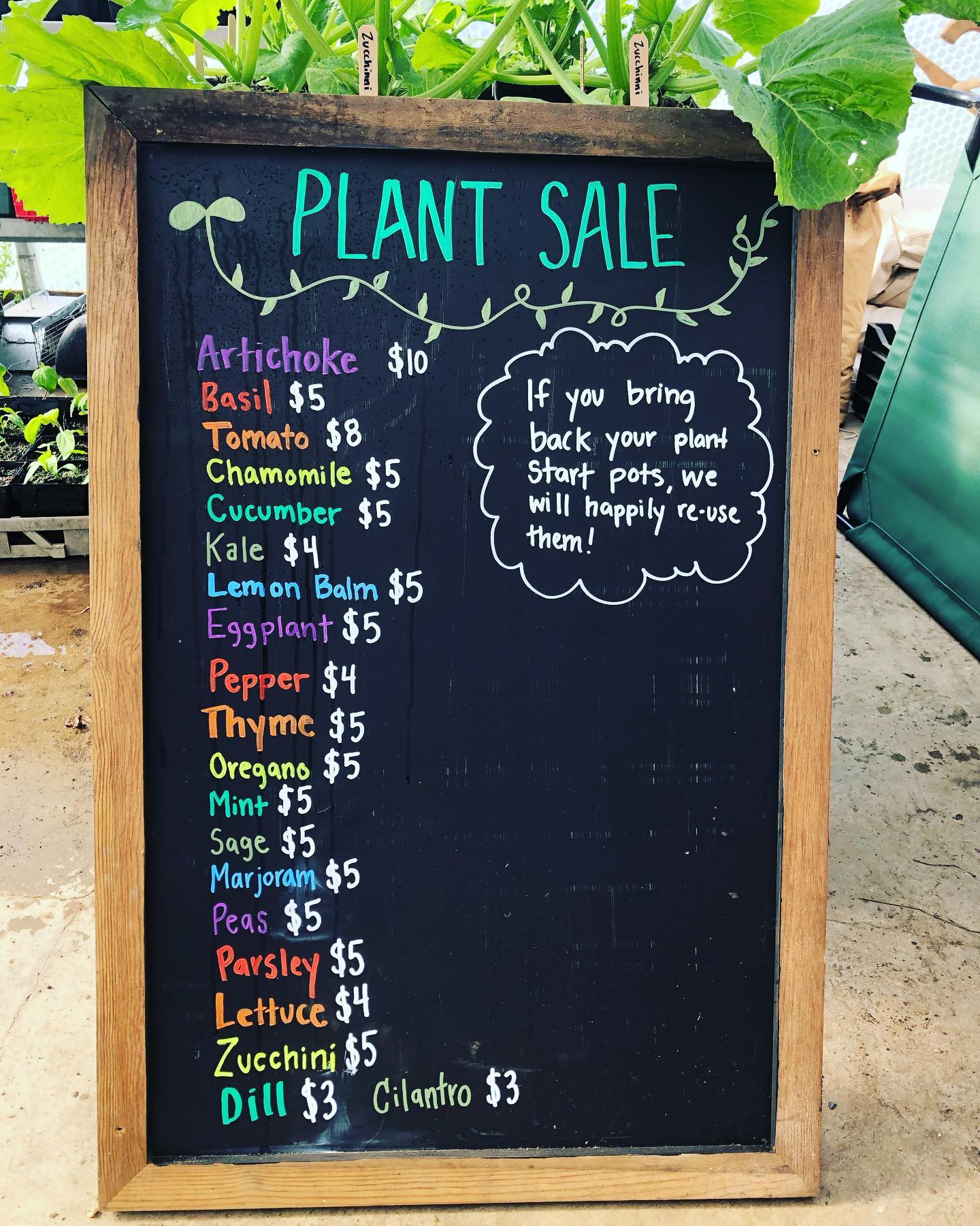 Farm Stand opens TOMORROW at 10AM on Saturday May 6th 2023!
Opening day will feature: Baby Carrots, Radish, Hakurei Turnips, Arugula, Baby Leaf Lettuce Mix, Baby Spinach, Spring Mix, Happy Rich, Tuscan & Curly Kale, Rainbow Chard, Scallions, Dill, Cilantro, Parsley, Potatoes, Onions, and more.
PLUS a healthy selection of Plant Starts for your gardens including: Tomatoes, zucchini, cucumbers, shishitos & bell peppers, lettuce, peas, basil, eggplant. thyme, marjoram, chamomile, lemon balm, sage, and more each Saturday this month.
The weather will be warm and sunny and perfect for opening day. Farm Managers Jamieson & Jeremy will be greeting you and helping with all your farm stand needs. Please spread the word and we hope to see you tomorrow at 609 Weir Cove Road in Harborside, Maine!
#fourseasonfarmstand #fourseasonfarm