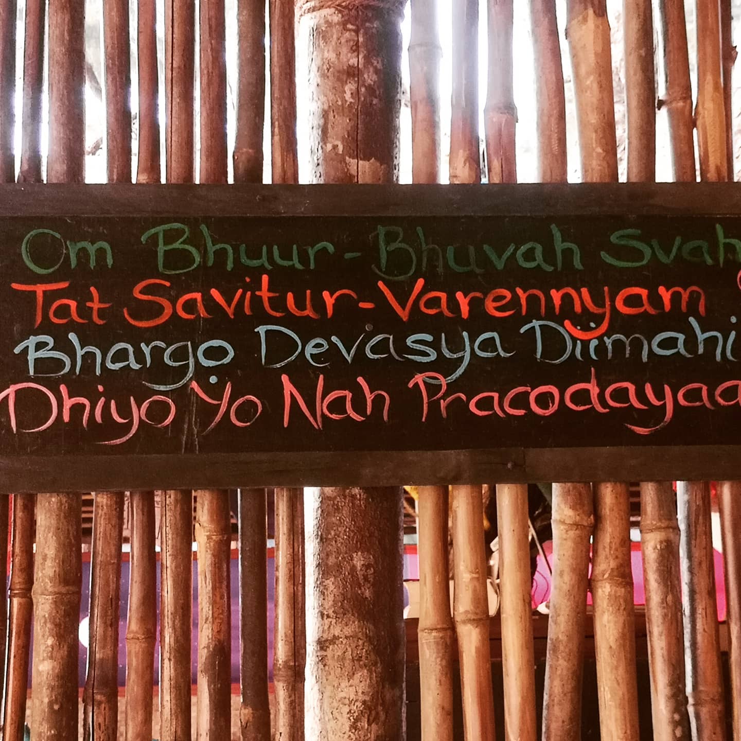 Yogis wait to see what's in store for you when I get back!