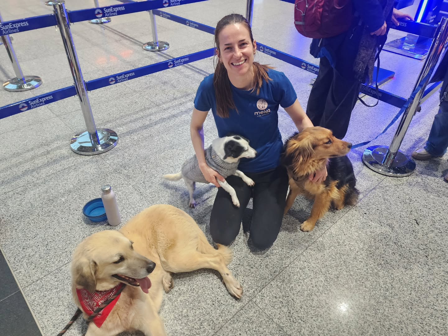 A very special flight ❤️
Today lucky Vicky, Sallie, and our special boy Max got to leave the enclosure and fly to a better life in the Netherlands!
Vicky came to us last summer after she has been found in a terrible state. We think she was attacked by larger dogs and her bite wounds got infected as she had to continue living on the streets without treatment. Without a clean place to live, her open wounds and her ears got filled with dirt and foxtails, which led to terrible infections in her neck, ears and face. The rescuers who found her rushed her to the vets, where she made a full recovery. This sweet-natured girl wouldn't have survived for much longer on the streets, and we're so grateful that she finally has a safe, loving home!
Sallie is a rescue from a government shelter in central Turkey. Sallie was one of the more quiet dogs in the shelter and she would usually sit in the corner of her kennel staring at visitors, quietly hoping that it would be her turn to be adopted. Whenever the local volunteers approached her kennel, she would lie on the floor and show them her belly, desperate for some love and attention. Now she finally gets to have all the attention she so craves!
Max spent three years in our care, and is a living Melez legend and was the unofficial mascot of the enclosure! He came to us after his owner passed away and their family didn't want to take care of him. Max is blind, has a balance disorder, has severe allergies, and has lots of shrapnel in his body from being shot at. Despite everything he has been through, he is the sweetest, most patient, and most loyal dog you will ever meet! His resilience and unwavering trust in humans touched the hearts of everyone who met him, and he has been a firm Melez favourite for the past three years. Although we will miss him terribly, we are so happy that he finally gets to experience life in a safe, comfortable home!
Happy tears at Melez Dog Rescue today ❤️
All the best sweet Vicky, Sallie and dear Max, be happy!