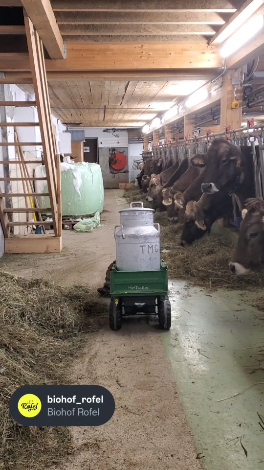 M E L K K A N N E N Transport🚜
Wenn die Hilfe zu Vergnügen wird...
Sind unsere drei Melkkannen am richtigen Ort, kann mit der eigentlichen Arbeit begonnen werden. Dem melken der Kühe🐮
#biohof_rofel #langwies #schanfigg #landwirtschaft #milchvomhof