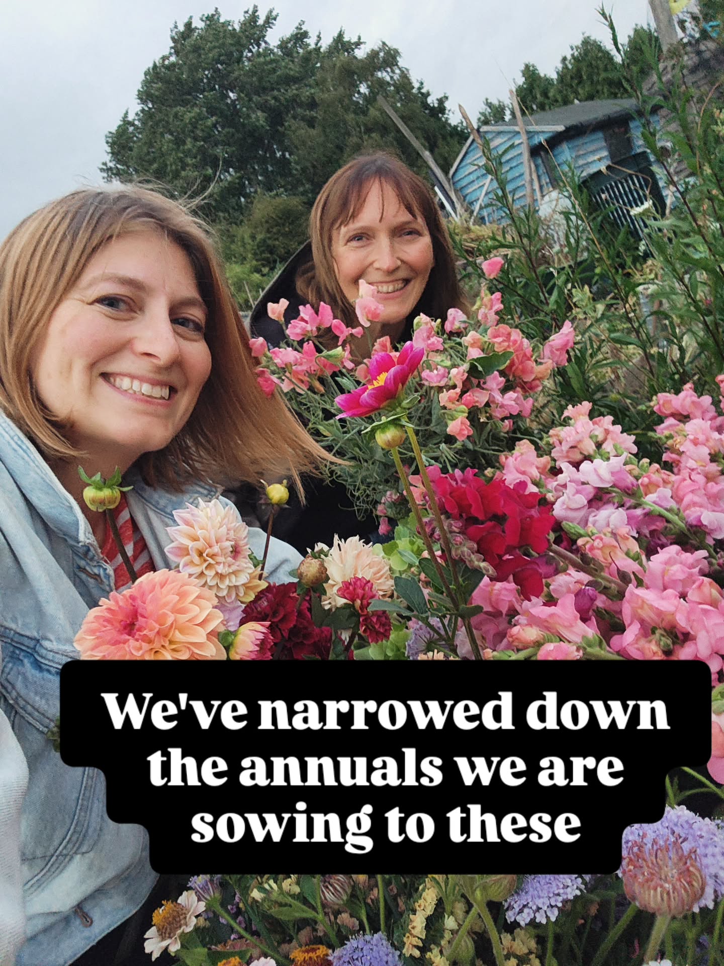 After deciding to plant less, these are the ones we’re making time for — the plants we actually use, enjoy growing, and reach for again and again when we’re cutting.
Sweet peas - The scent, the colours, just irresistible.
Cosmos - We love the airy lightness of these simple blooms.
Snapdragons - Perfect complementary flower to our beloved dahlias. The colours are *chef's kiss*
Zinnias - We are loving the newer mixes coming out amd Queen Lime Red is just gorgeous.
Sunflowers- The kids and the bees love these too much to let them go.
and yes, we’re giving Bells of Ireland one last chance. They smell just like they look - zesty and fresh. Which is just irrestible!
A shorter list, on purpose.
What annuals are you keeping this year?
