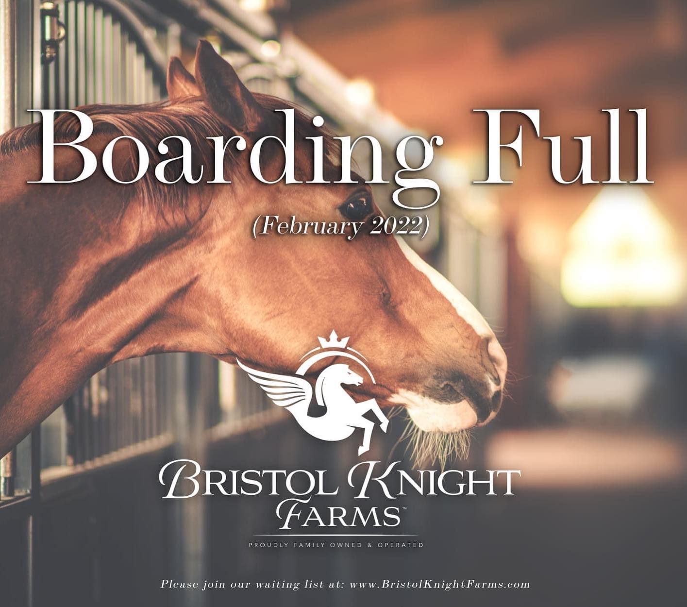 BKF Boarding Program is full! (2/1/22)
To join our waiting list, please visit www.BritolKnightFarms.com and complete our "Boarding Inquiry" and select "Waiting List".
When a stall becomes available BKF will notify all waiting list members via email. Due to high demand, our stalls are held on a first come & prompt deposit basis. Thank you!