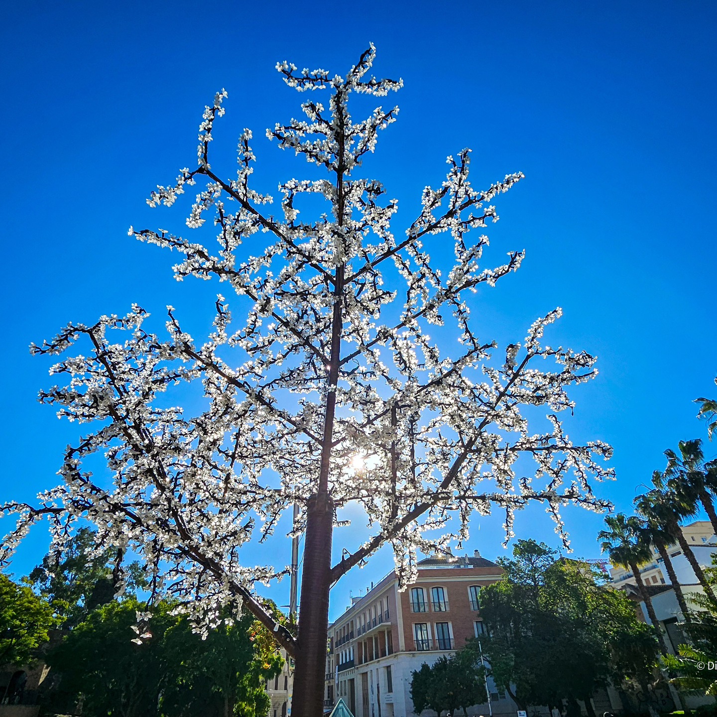 Sunny winters are the best ❄️☀️
#mobilephotography #spain #winter #sun #blueskies #nature #urban #city #Europe #travel