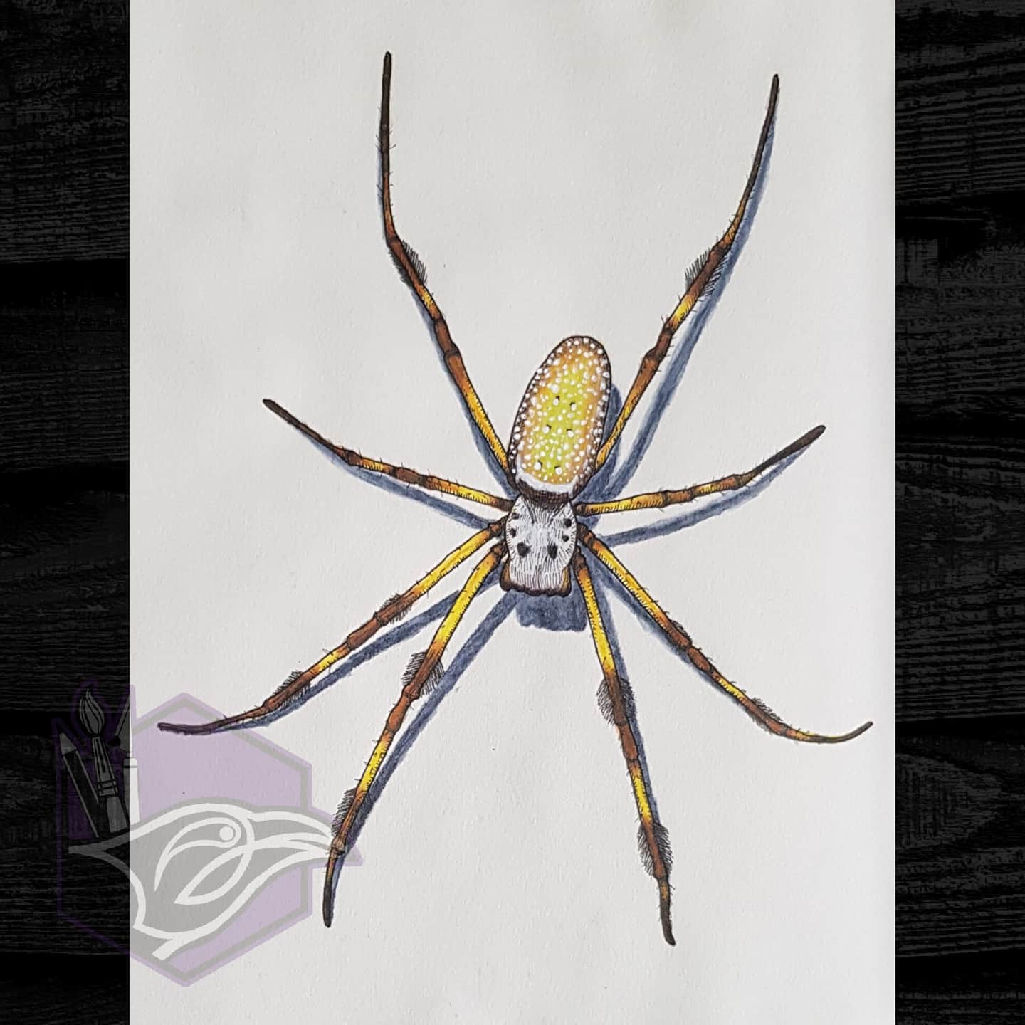 A giant golden orb weaver I drew in my sketchbook over the weekend. Yes, that is a full A4 page! 😁
.
Inked with Unipin fine liners and coloured with Derwent Inktense pencils.
.
.
.
.
.
#spider #orbweaver #goldenorbweaver #arachnid #eightlegs #art #spiderart #eightleggedfreaks #ink #unipin #unipinfineline #drawing #creepy #creepyart #inktense #derwentinktense #sketchbook #artistsoninstagram #emilyravencrafts