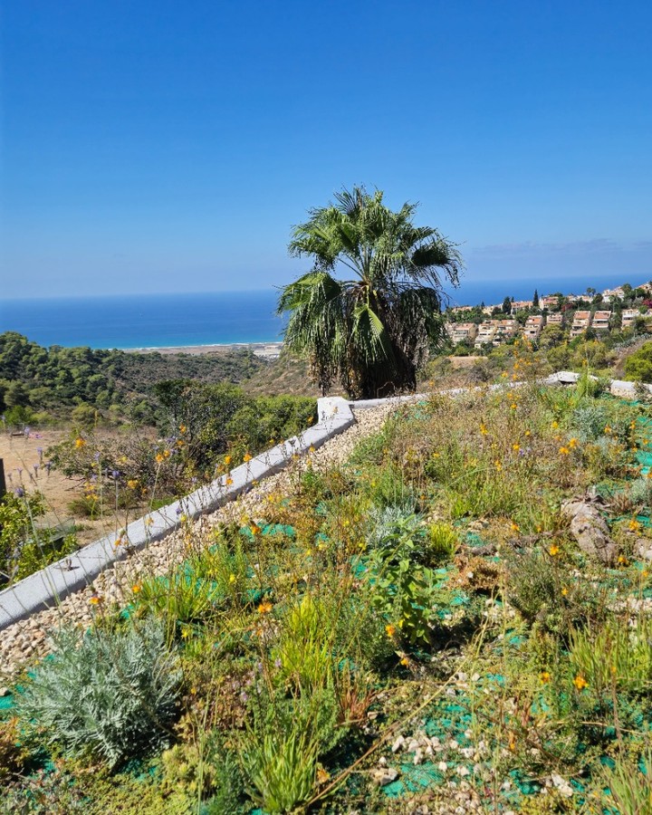 a year
#bldveg
#בנייןצומח
#גגירוק
#greenroof