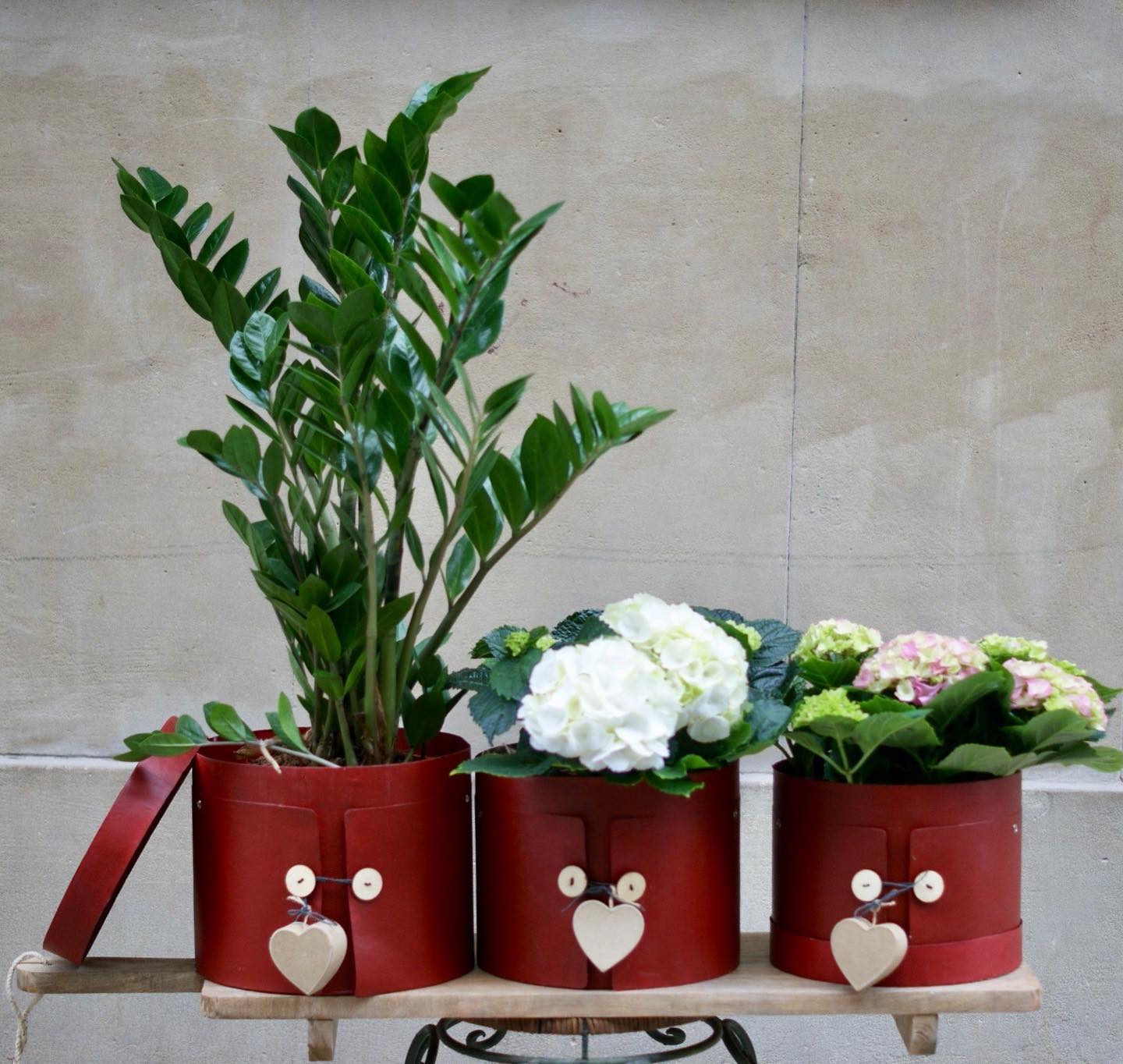 Preparando muchas sorpresas para San Valentín.
Hoy habrá novedades en la web:
floristeriavillamiranda.com