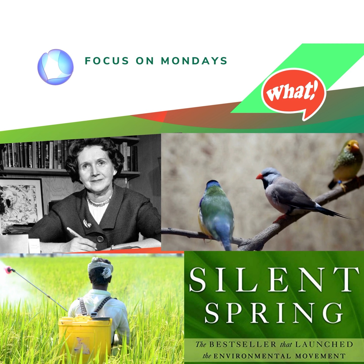 @mo.eco_art MonacoEcoArt.com #focus #Monday #Environment #Communication #origins 🤏Where does Environmental Communication originate? 🤔 Let’s find out more 🐦🔬 “There is something infinitely healing in the repeated refrains of #nature—the assurance that dawn comes after night, and #spring after winter” reminds us Rachel Louise Carson (Springdale, 1907–Silver Spring, 1964), the American #biologist and zoologist, #author of numerous books among them her bestseller Silent Spring (published in 1962) giving birth to what will be defined later, all over the world, the environmental movement 🧬🧪 Years and years of studies led the researcher to explore the #connections between Environment and the use of new pesticides and particularly the well-known DDT (Dichloro Diphenyl Trichloroethane)—chemical substances widely used by farmers to fight against the storms of insects; provided that “in nature nothing exists alone” (R. Carson) the author published a bleak picture underlying the dangerous #risks linked to the disproportionate use of #insecticides which inevitably affected the #food chain of other animals (e.g.: birds) and human beings 🫂✋ A position that, in spite of criticisms and pressures, brought Carson’s Environmental message to raise and influence #public #awareness to the extent that DDT was banned some years later her death (1972); thus, it is not by chance that Carson’s ecological commitment and her literary production is traditionally associated to the birth of the Environmental Communication meant as subject of study 🗣️🍃Nowadays, the Environmental Communication is a subject of studies, researches, theories, conferences, conventions, placing itself even more as an interdisciplinary topic which unites the economic-scientific area to the humanities fields and social sciences 📸 🎬 © Copyright: MonacoEcoArt Stories Source: “Communicating the Environment to Save the Planet, a Journey into Eco-Communication" @springernature