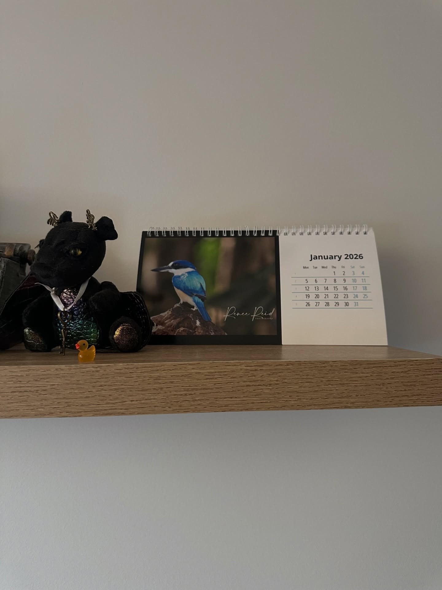 My calendar from @rrp1984 looks gorgeous on my shelf in my office. They’re available now through her website. Yes, these are her own photos. I just love the little desk size