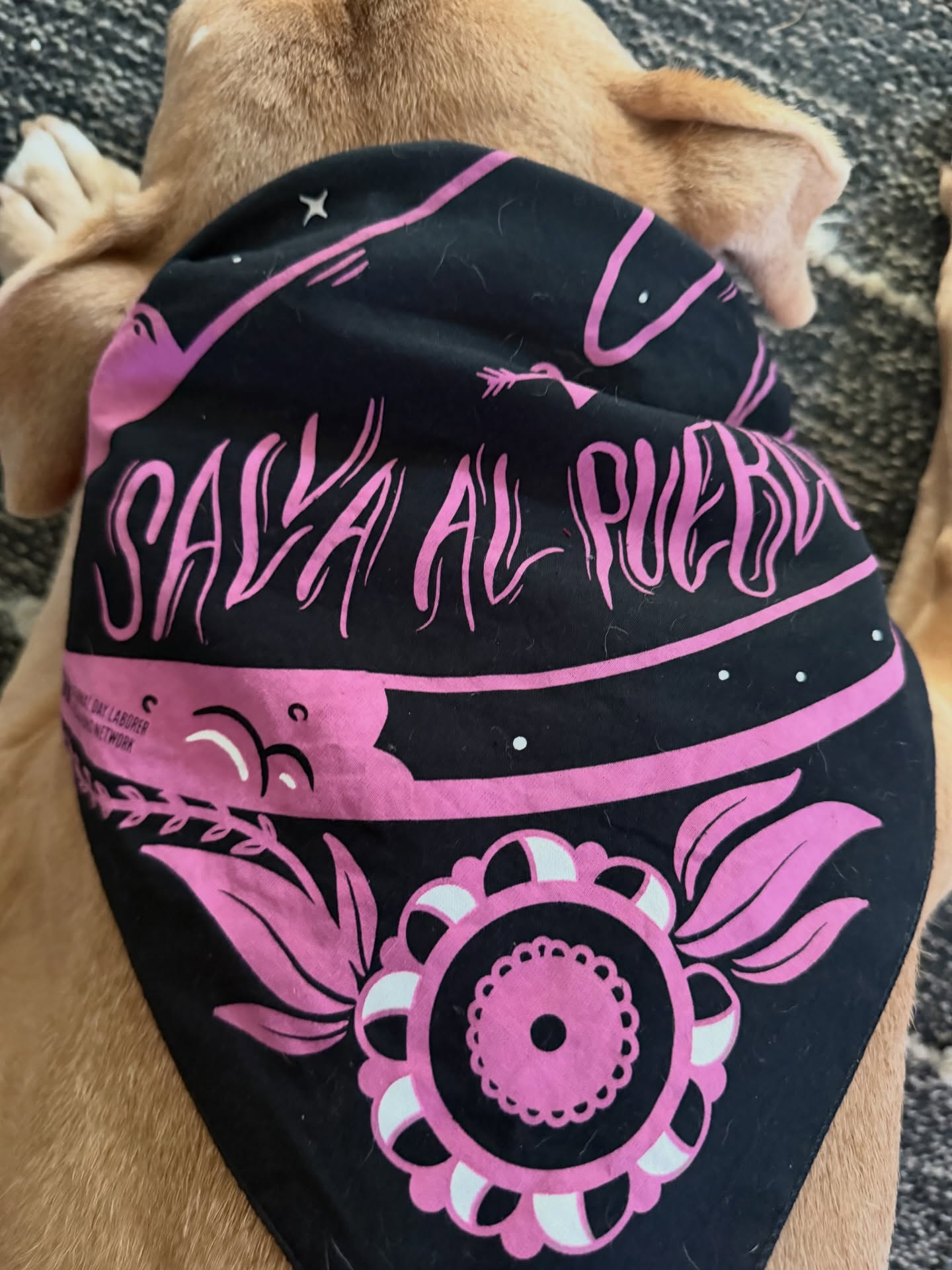 Hello. Laura here. In case you don’t know: I am a daughter of immigrants who stands firmly for the rights of immigrants and all people now and historically targeted by discrimination and violence. Our community is vibrant and diverse and I am a humble servant to it. I stand with all of you. “Solo el pueblo salva al pueblo”