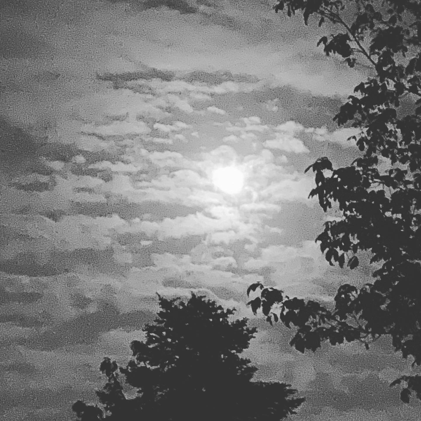 Sun or moon?
#picoftheday #picofthenight #sunlovers #moonlovers #naturephotography #blancoynegro #blackandwhitephotography #blackandwhite #dayornight #treatsstyle #photography #cloudedsky #nubes