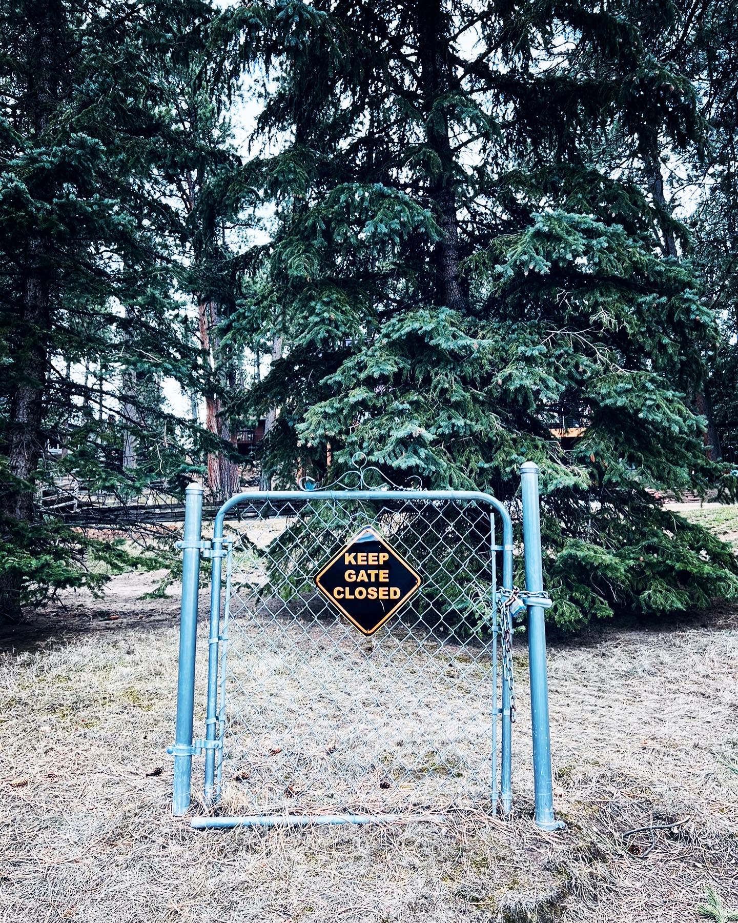 Walked past this the other day. 😂🤣