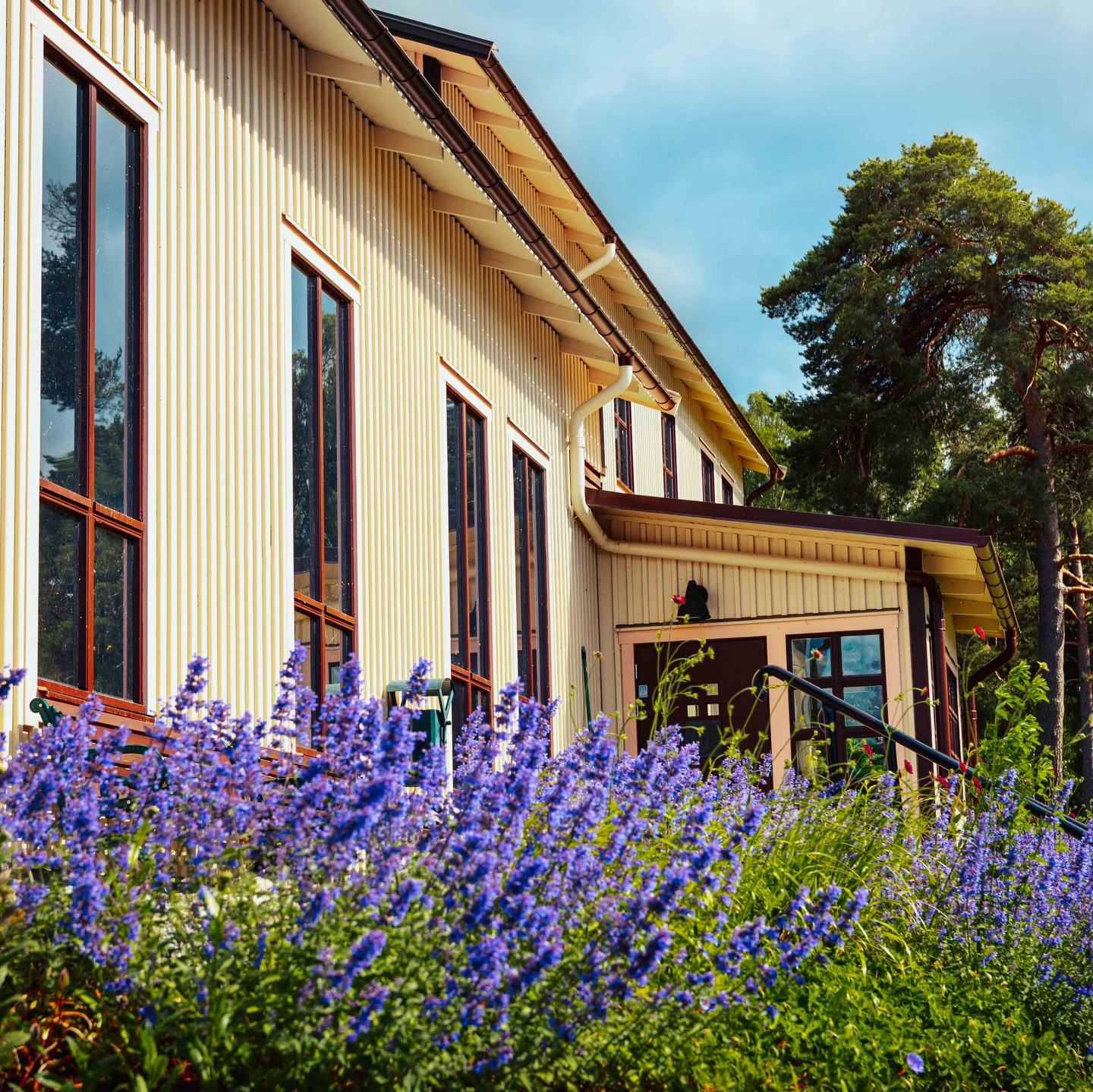 Januari kan ju kännas lite som att paddla i hummus - Trögt och kladdigt. Men nu våra vänner är det upplopp - sista veckan i denna låååånga månad är äntligen här! Det firar vi med bilder från febr.. eh förlåt maj va det visst. Men äsch februari är ju bara 28 dagar detta år så det kommer gå på ett nafs. Hur som helst - mot ljusare tider! 🥳