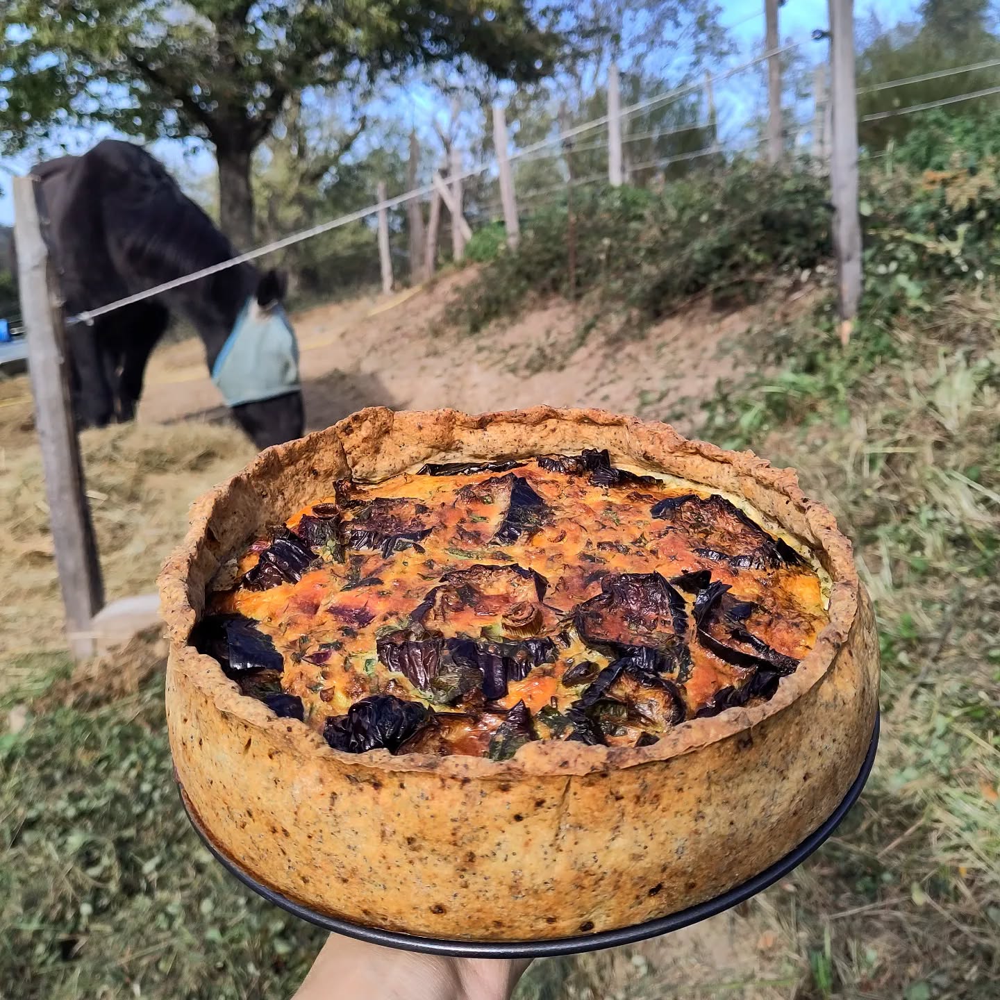 C'est la campagne!
#foodies #onset #catering #pilat #lyon7