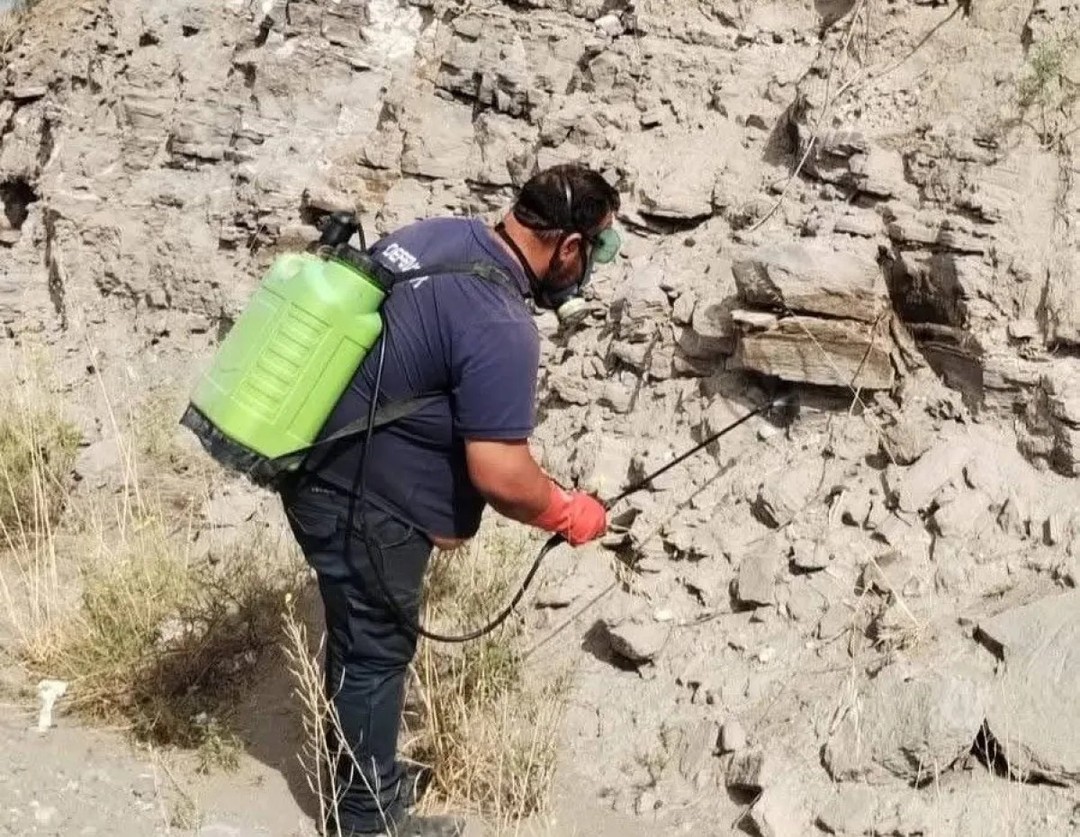 🚨 ATENCIÓN: OPERATIVO CONTRA AVISPAS EN RÍO NEGRO 🚨
* ✅ Se ha intensificado un operativo contra avispas en río Negro debido a la acción molesta de una colonia.
* 📌 La colonia de avispas está causando problemas en la zona y se busca eliminarla para garantizar la seguridad de la población.
* 🚨 El operativo es importante para prevenir accidentes y mantener un entorno seguro.
En tu casa o negocio, es importante tener en cuenta que las avispas pueden ser un problema similar, por lo que es fundamental tomar medidas preventivas para evitar su presencia.
Comentá abajo si tenés alguna experiencia con avispas o plagas en general, o consultá con nosotros para saber cómo podemos ayudarte a prevenir y controlar plagas.
#ControlDePlagas #DynaPest #Avispas #PlagaMolesta #HogarSano #TipsLimpieza #Seguridad #Operativo #RíoNegro #PrevenciónDePlagas