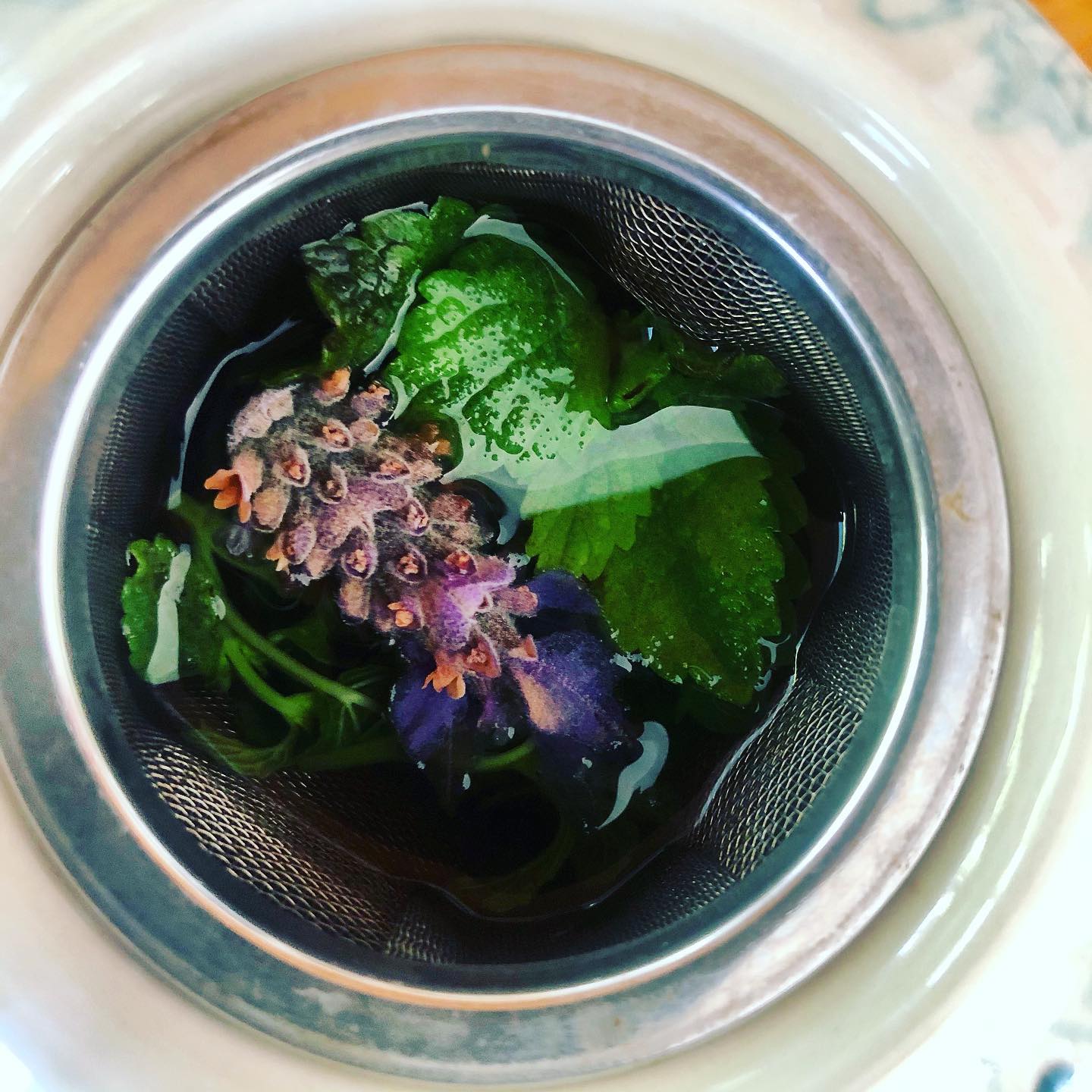 Lemon balm and Lavender tea š«š¤
My friend gave me a big bunch of lovely lemon balm a few days ago!
Lemon balm has been found to help improve mood and cognitive performance. In fact, lemon balm is an amazing herb that can help with a number of things:
šŖ“Insomnia
šŖ“Anxiety
šŖ“Cold sores
šŖ“Indigestion
šŖ“Nausea
šŖ“Menstrual cramps