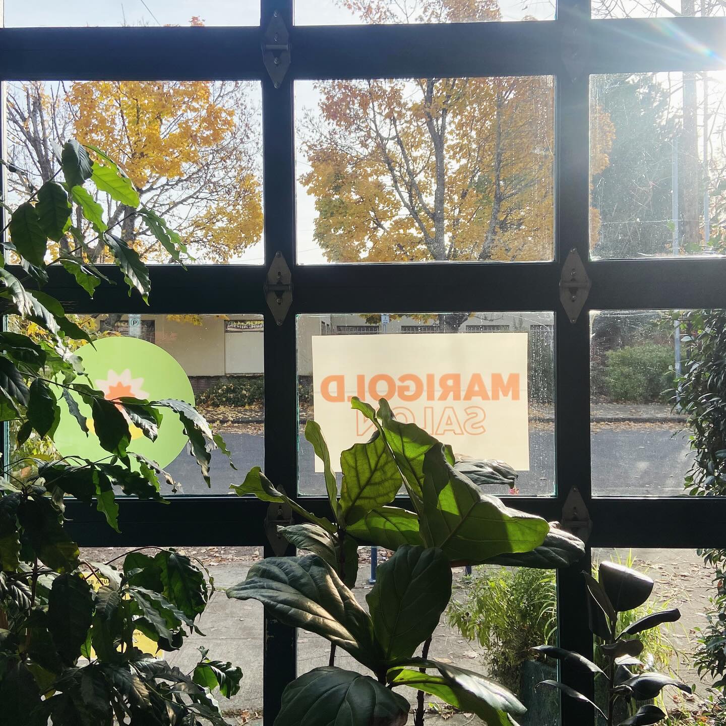 Thoughts as I saw the presidential election results: oh fuuuuuuuuckkkkkkkkkkkkk accompanied by a sinking feeling for the future.
As I’ve scrolled around the last two days I’ve read a lot of really thoughtful uplifting things, deeply meaningful quotes and takes, and a lot of very honest things and brutally truthful things and a lot of people expressing their despair and fears and I’m like yes yes yes same but I’m not the most eloquent girly so what am I going to say?
On Wednesday I was feeling like these emojis 🥴🤮😵💫 (and also this one 🤨) and I was like how do I just go to work and do peoples hair? But it’s not the first time I’ve worked with a griefy heavy heart, and I just do it if I can, and if I can’t then I guess I ask people to reschedule. But I worked and it was good to connect with my people and do their hair and give them some care and I just want to say:
My salon and my chair is a safe space. Your appointment is your time. Show up to your appointment as you are. We can talk if you want to talk. We can not talk. You can bring earbuds and a book. You can just close your eyes and chill. I’ll do the same. Just kidding. I’ll do your hair.
On Wednesday, my last client said “oh Sasha I hope you’re gonna make me laugh” (her and I always laugh a lot, so this was a fair expectation) and honestly, my middle name is levity- I can’t help it, that is me, so you might laugh. You might cry. I might cry. Anything could happen.
And just to be clear- Marigold is a salon that cares about our community and the safety and comfort of everyone one in it- we will not tolerate any racism, homophobia, transphobia, sexism, misogyny, or any general shittiness. There’s not a lot we can control or count on at the moment- but that’s something that is reliable.
✌️love you mean it