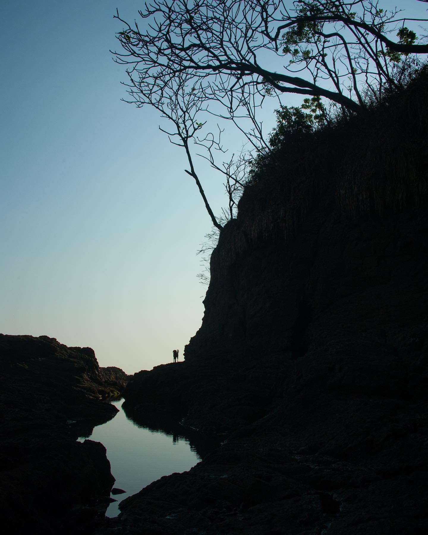 Always looking out for you 💙
#Pete #mansbestfriend #wayoutthere