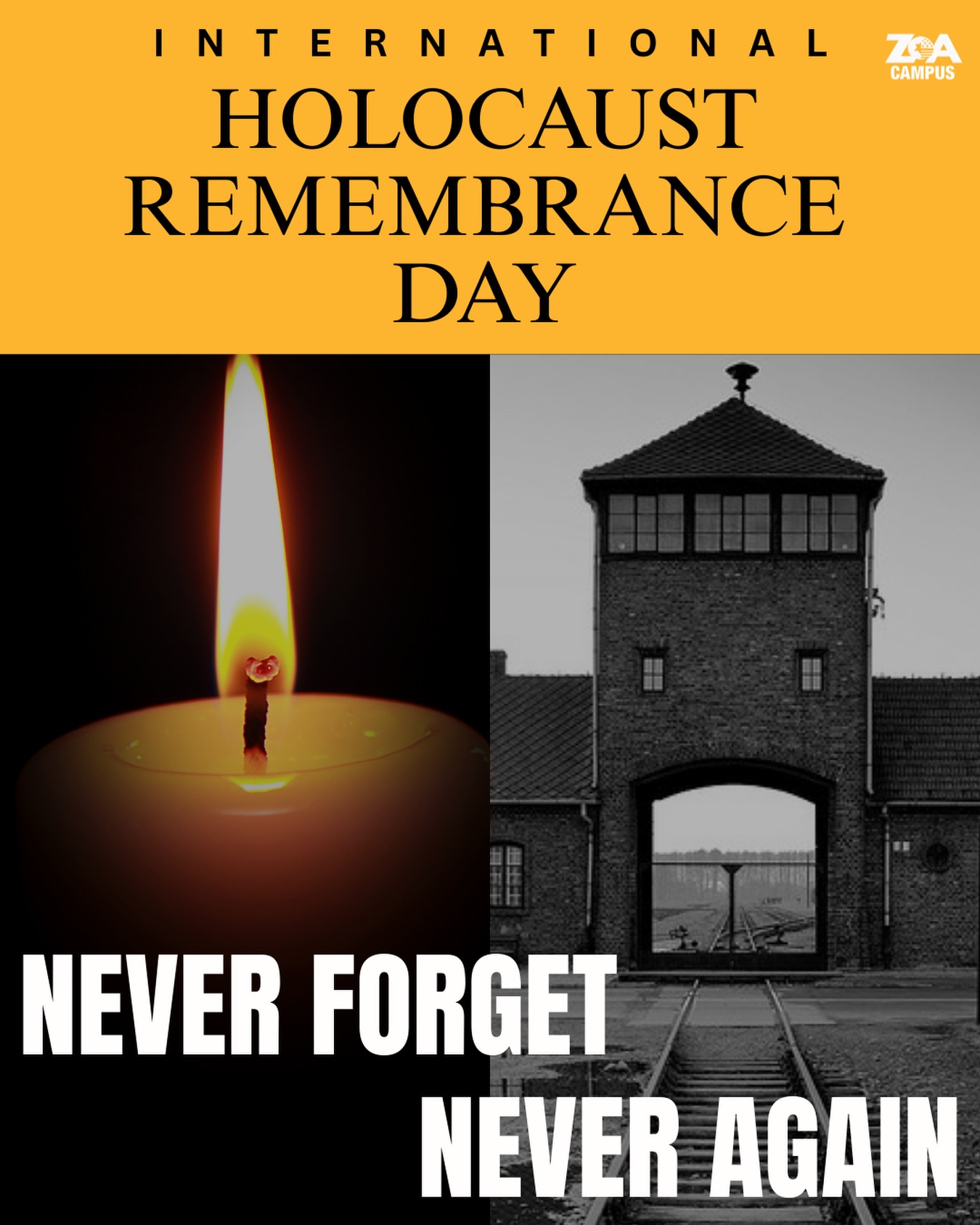 January 27 is International Holocaust Remembrance Day.
81 years later, we remember the six million Jews murdered simply for being Jewish.
We honor their memory by refusing to forget, and by committing, today and every day, to fight hatred and eradicate antisemitism. #neverforget #neveragain #holocaustremembranceday