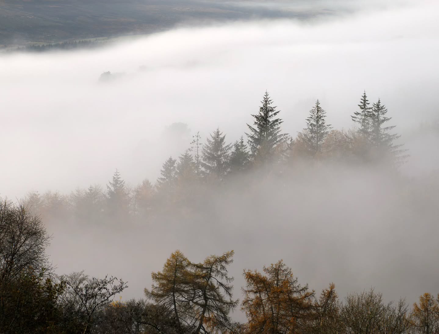 M I S T Y
Looking forward to more scenes like this. Misty mornings are my favourite 🏴
.
.
.
#landscapephotography #landscape #travelphotography #travelblogger #Scotland