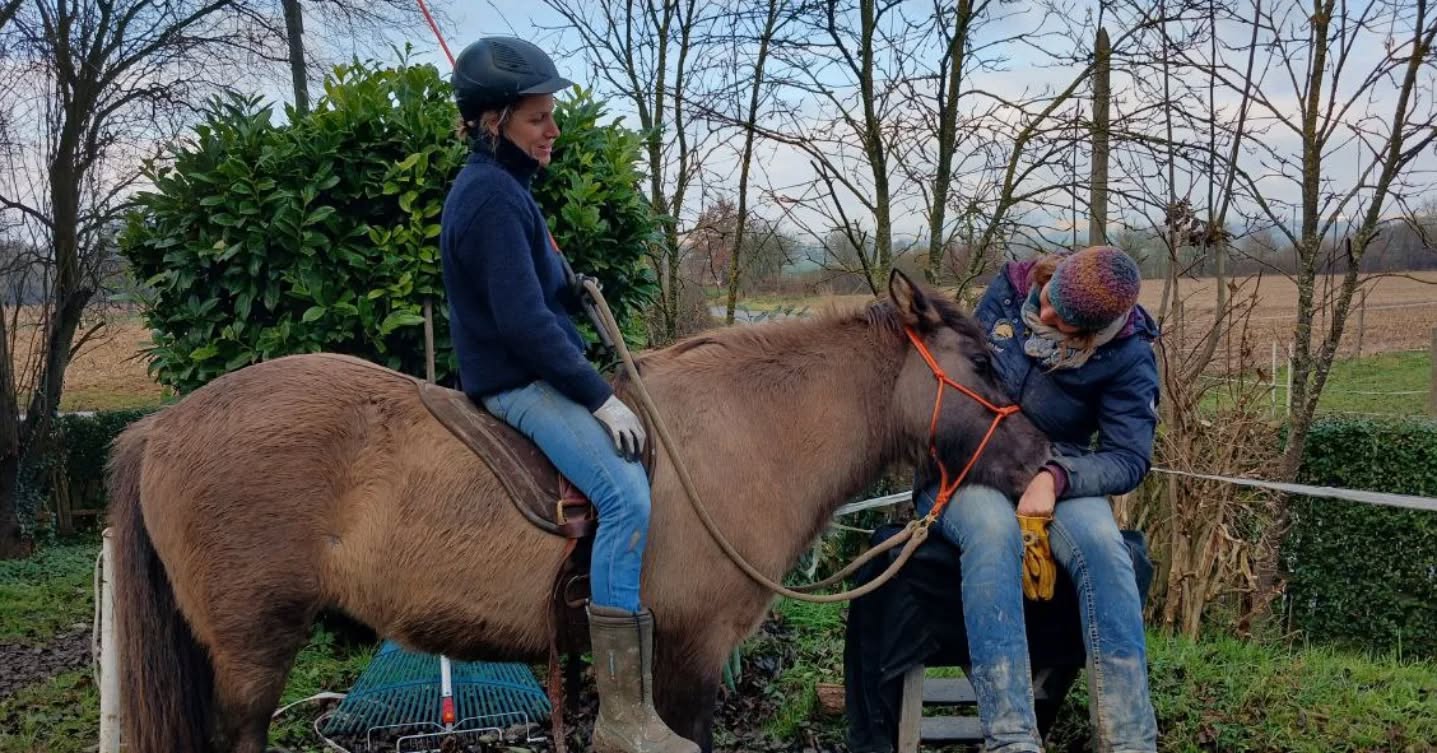 The reality of teaching and training fluffy horses in German winter. It's cold, it's wet, it's constantly muddy.
Nevertheless it's fun because I get to bring humans and their horses closer together and get to help them build or refine their communication. Even if it can be tiring, I am loving the fact that I need to be engaged mentally, emotionally and physically at all times.