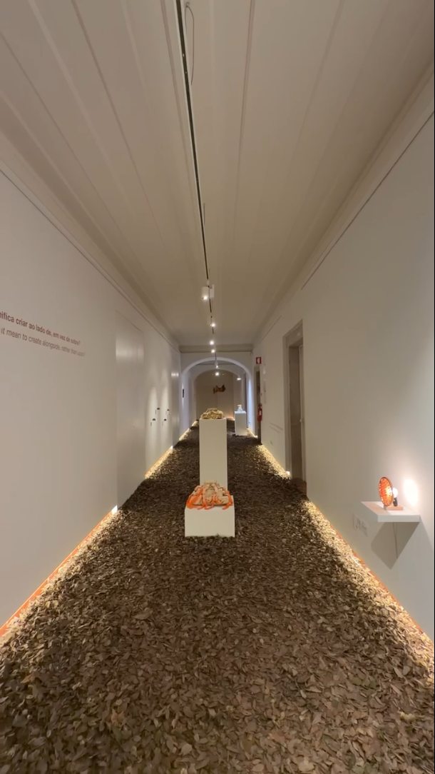 Nature doesn't Draw Straight Lines,
Exhibition at Galeria Municipal Jovem
January 17 till March 14 of 2026
Artists:
Antonia Ablass, Zixiang Zhang, Joana Alarcão
Curatorial work of Joana Alarcão (IOAEA) in partnership with Galeria Municipal Jovem.
Vídeo credits of @_pamoru