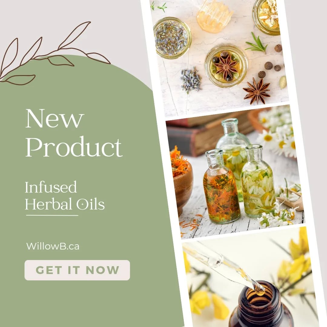 Its that time of year fresh herbs for our new infused oils... โค๏ธ
#supportsmallbusiness
#endofsummer #foraging
#garrdenlife #herbal #oil #willowb