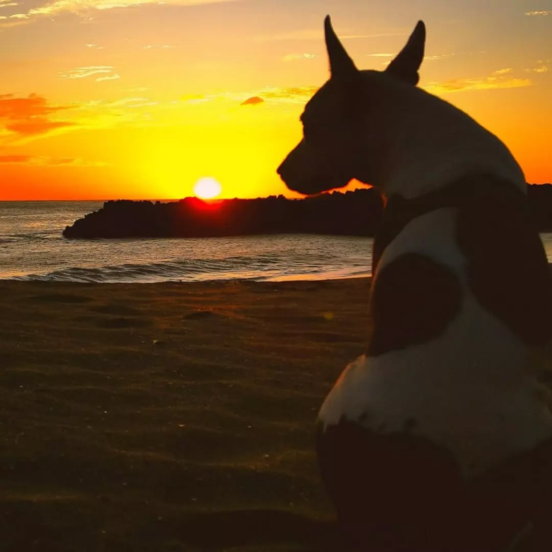 El Sol y la Luna
#tortugabooluda #beach #discovernicaragua #tranquilotraveler #hostelnicaragua #lonelyplanet #leonnicaragua